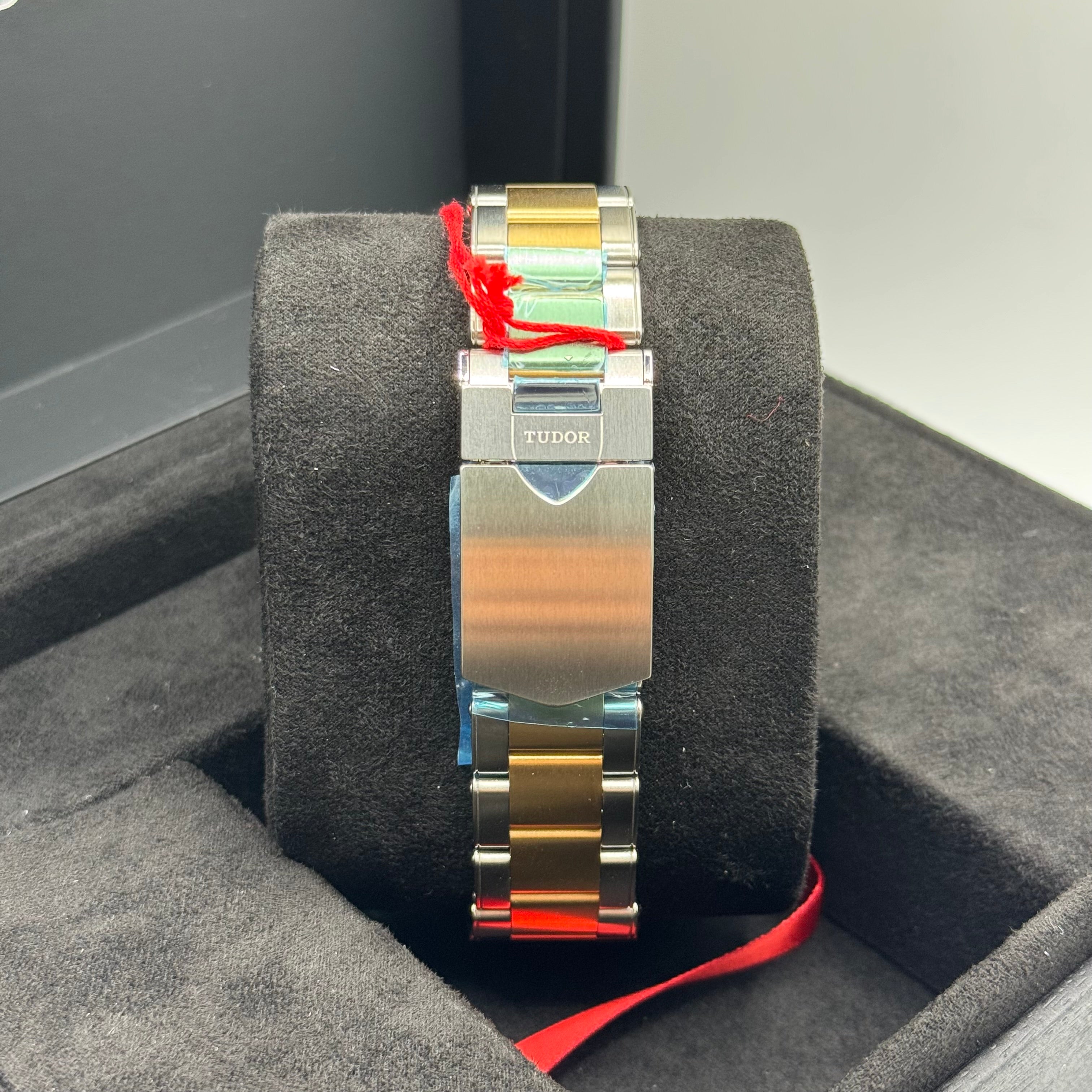 Tudor Black Bay S&G (M79733N-0008)