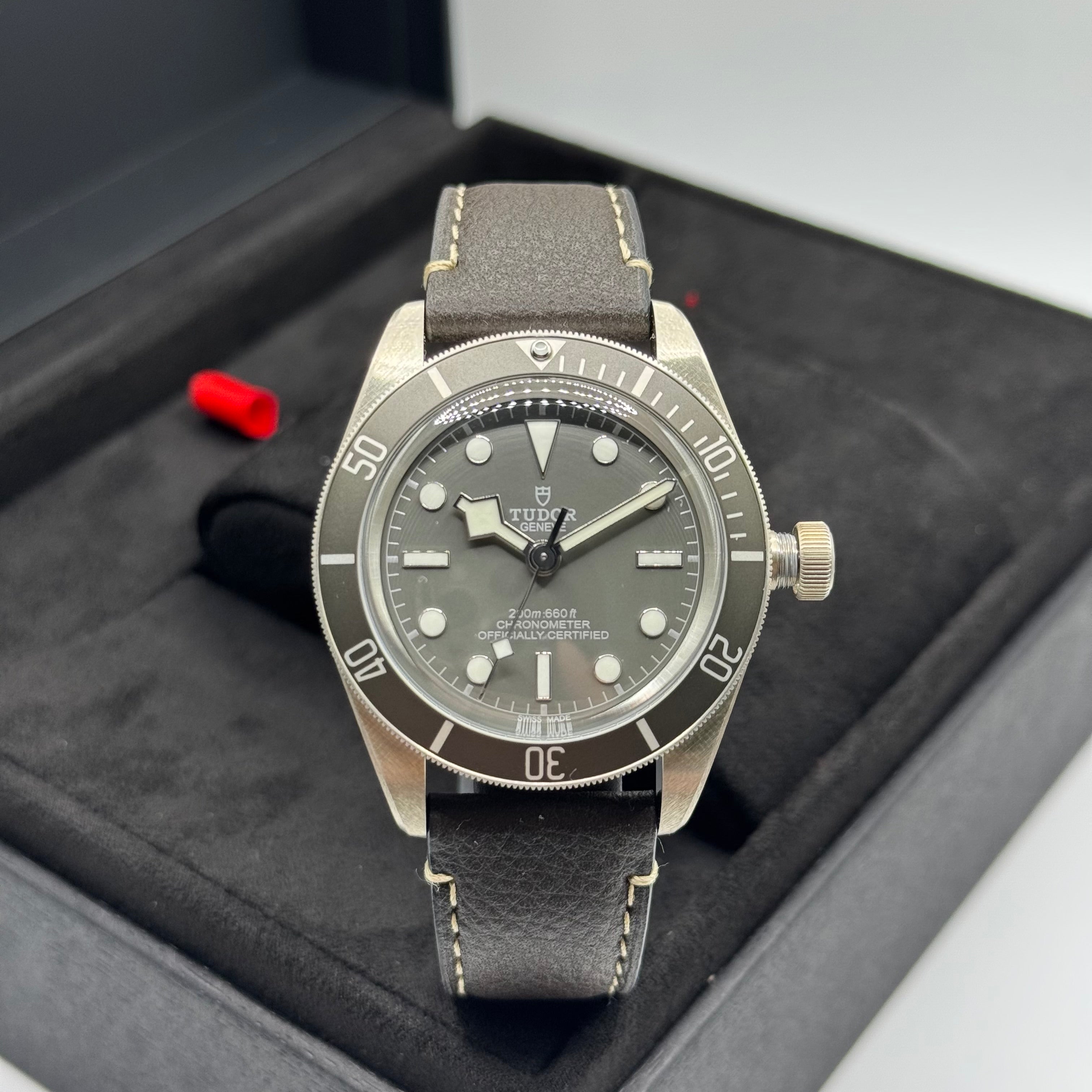 Tudor Black Bay 58 925 Silver (M79010SG-0001)