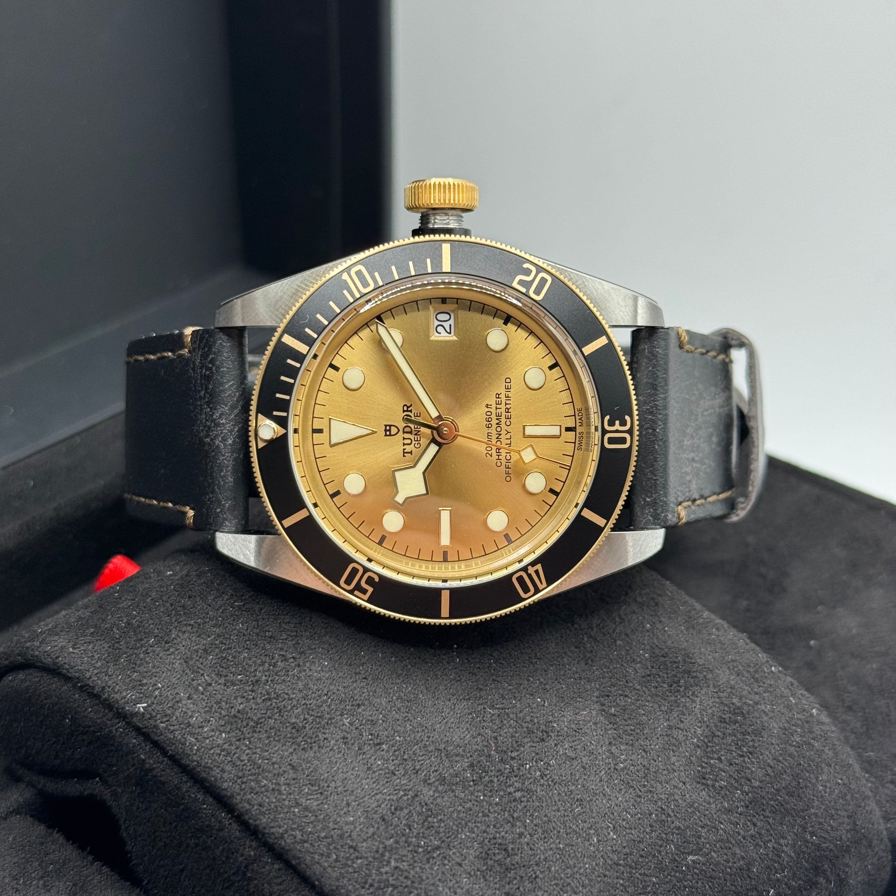 Tudor Black Bay S&G (M79733N-0003)