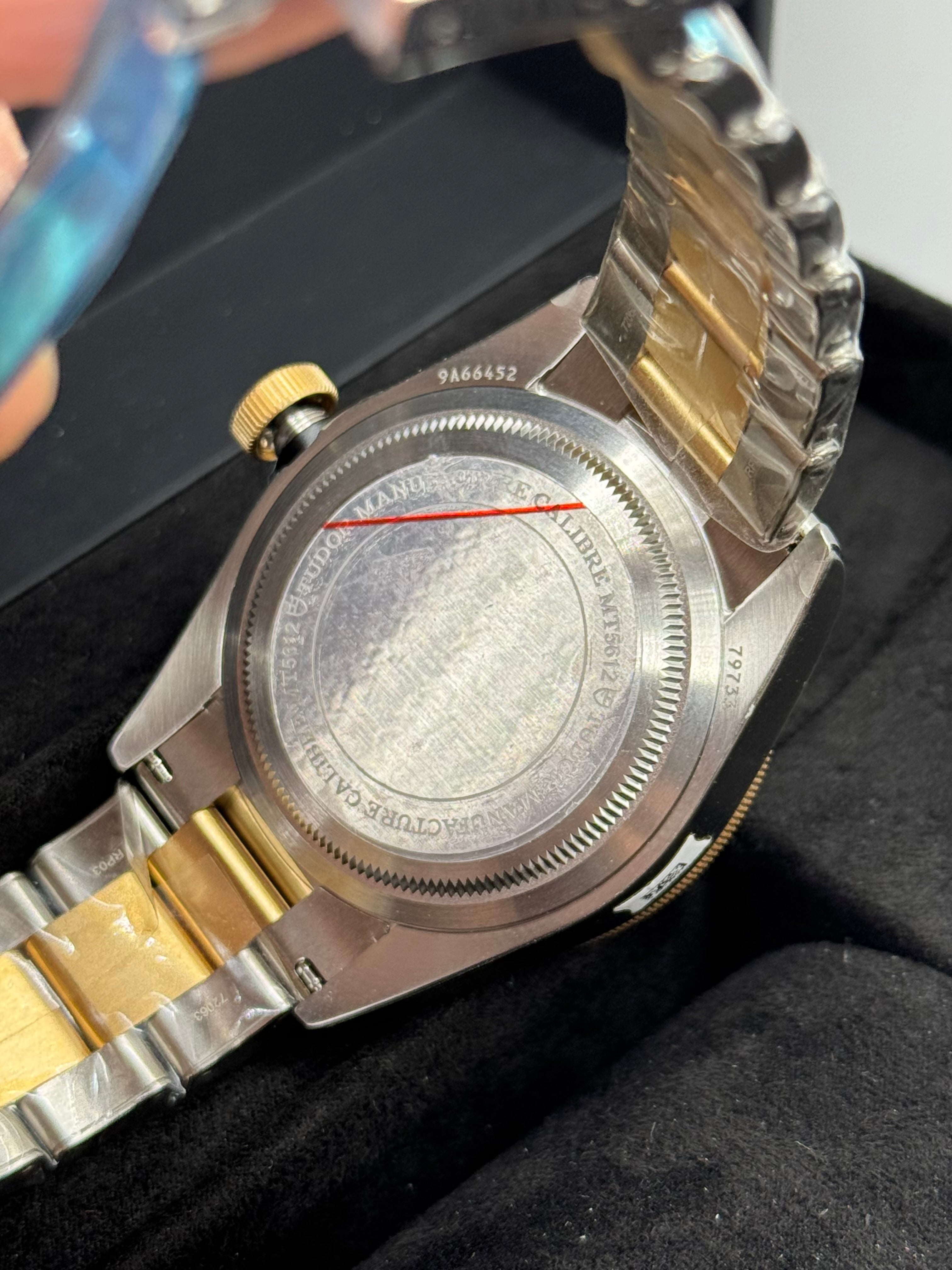 Tudor Black Bay S&G (M79733N-0004)