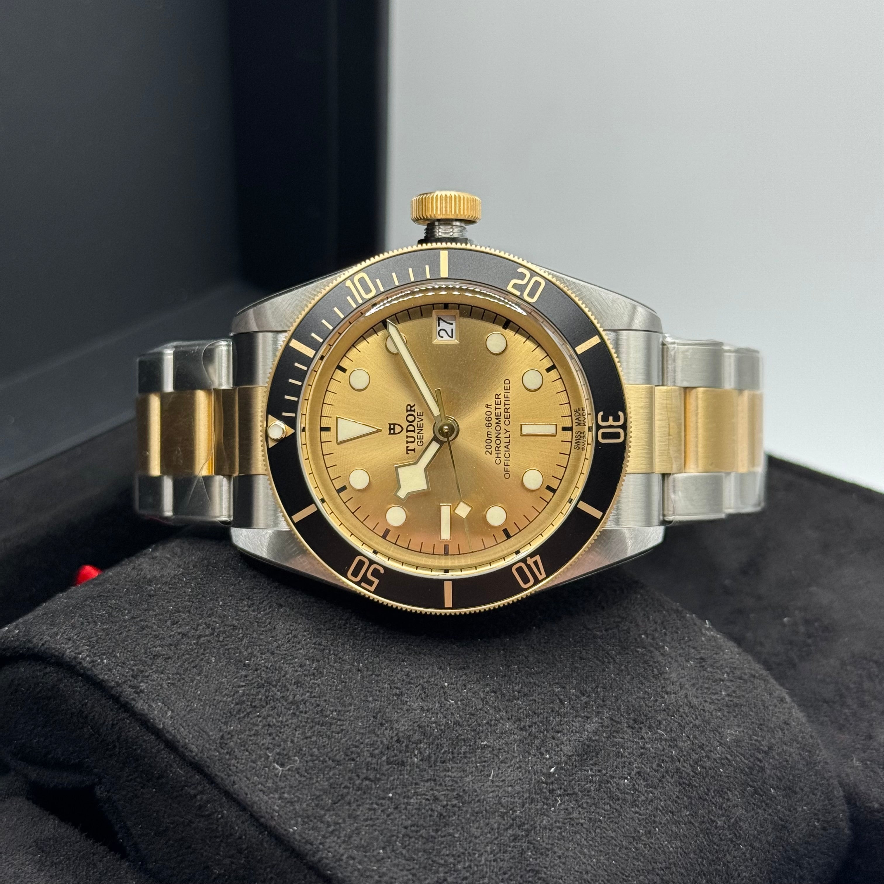 Tudor Black Bay S&G (M79733N-0004)