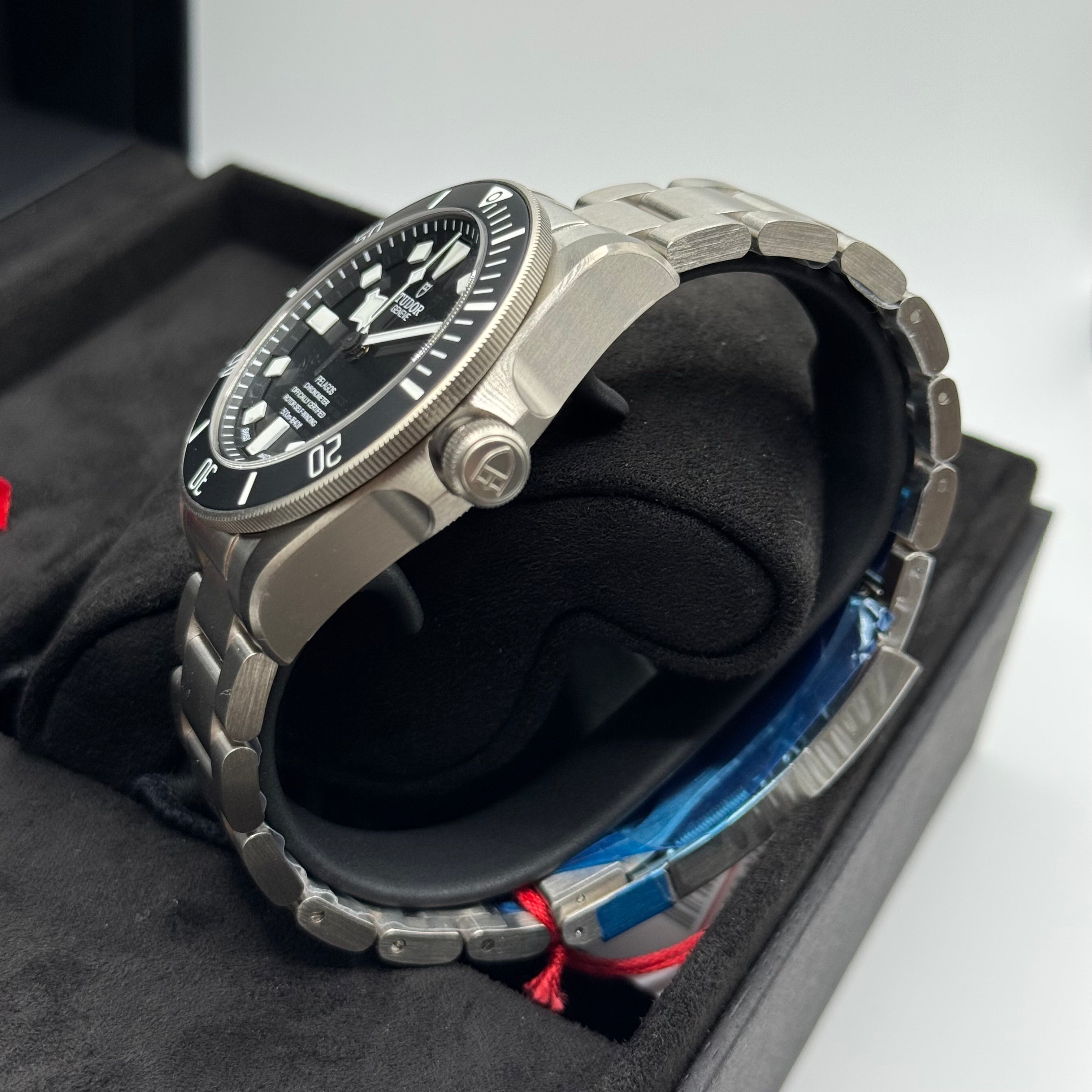 Tudor Pelagos Black (M25600TN-0001)