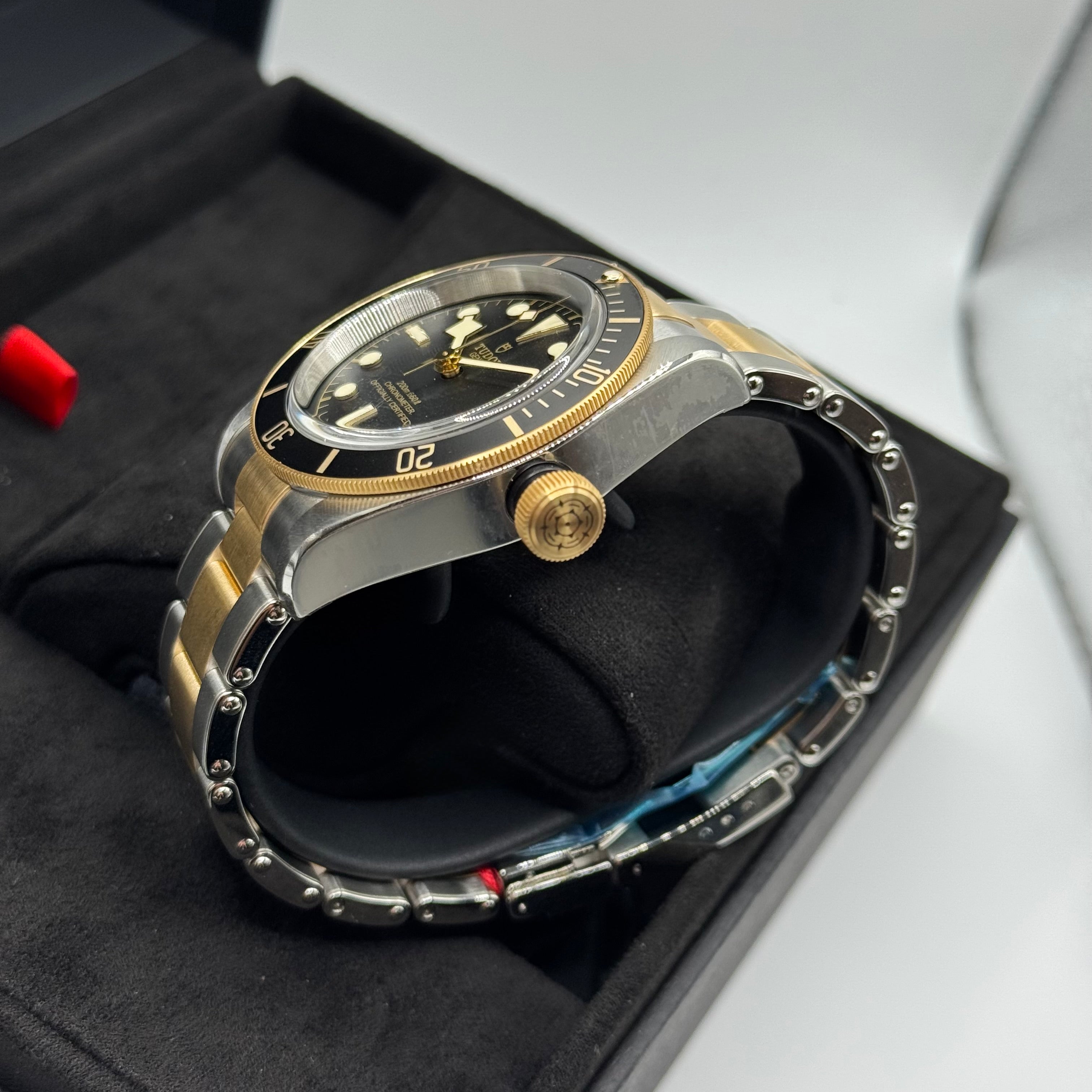 Tudor Black Bay S&G (M79733N-0008)