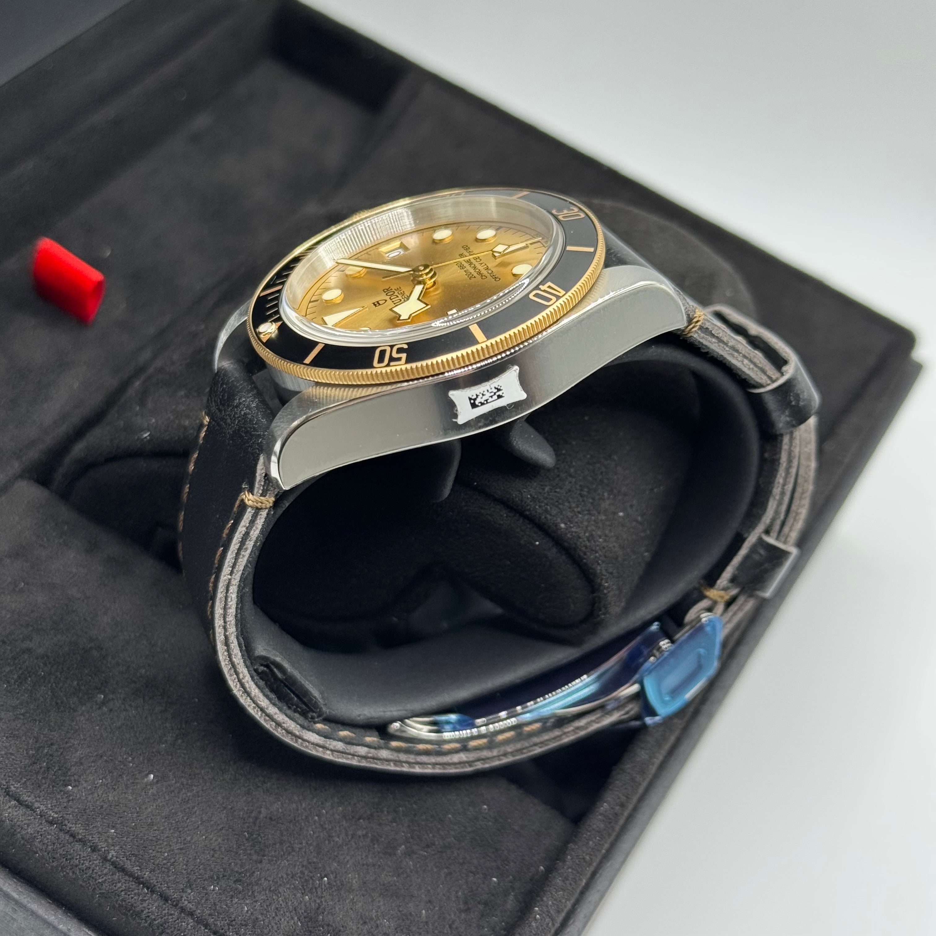 Tudor Black Bay S&G (M79733N-0003)