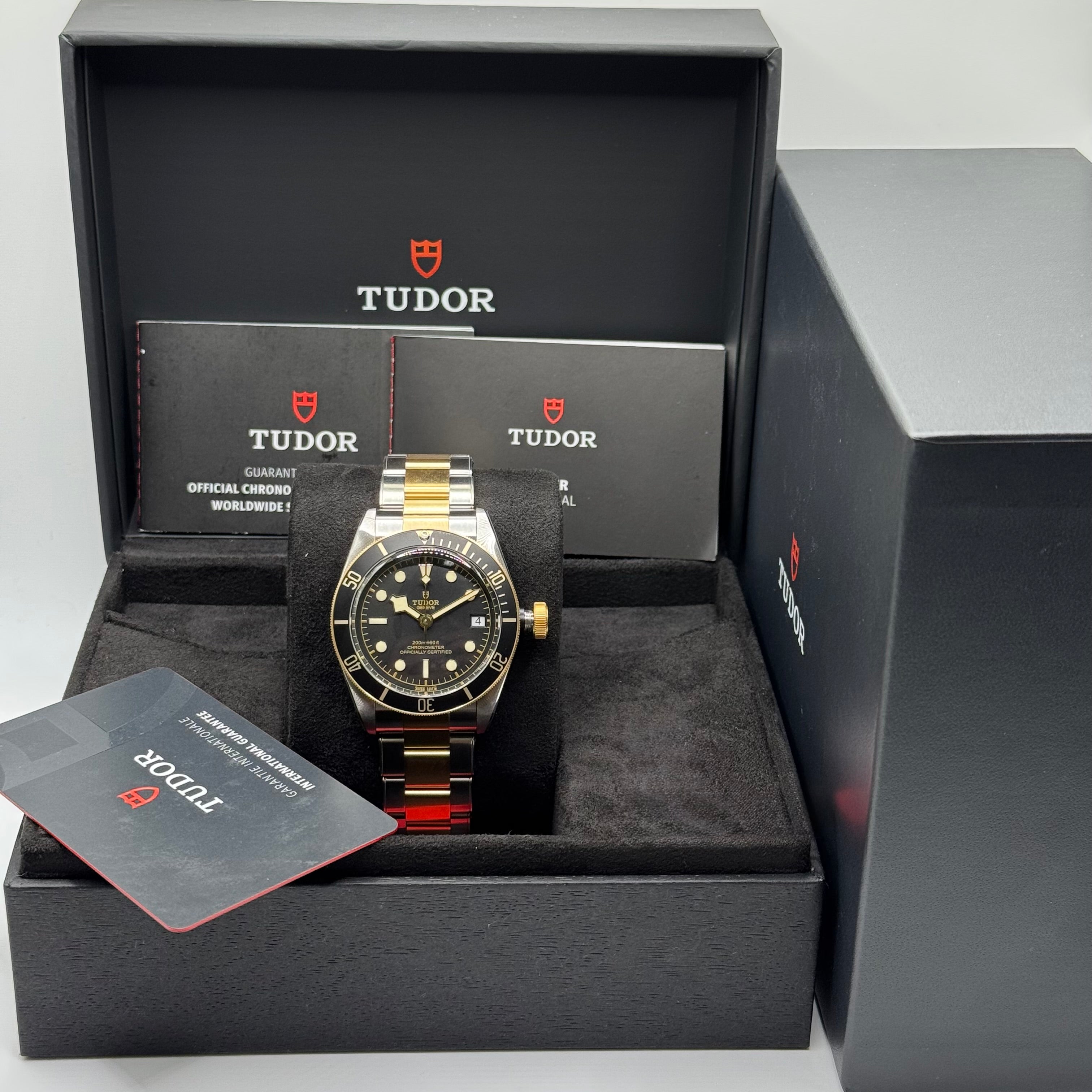 Tudor Black Bay S&G (M79733N-0008)