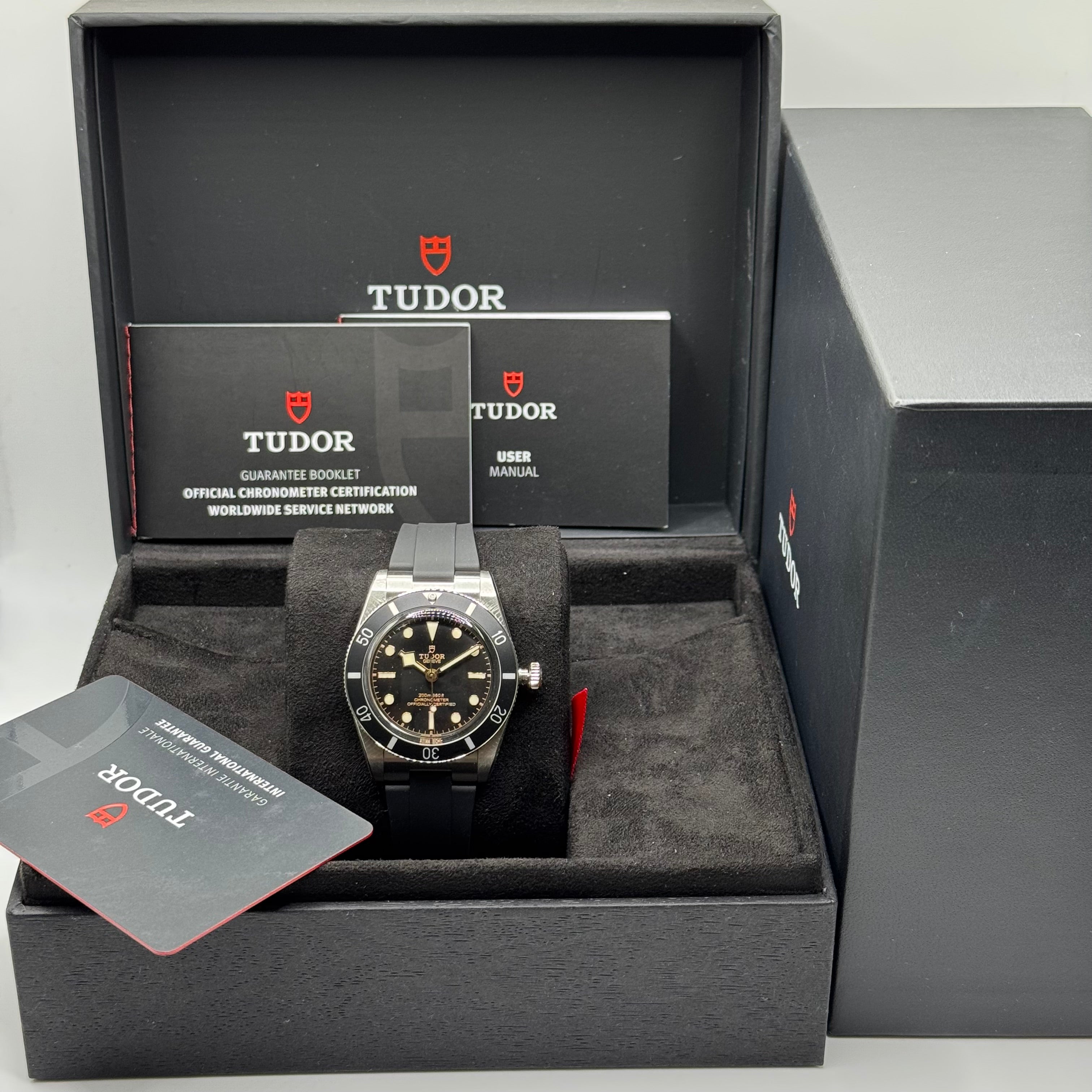 Tudor Black Bay 54 (M79000N-0002)