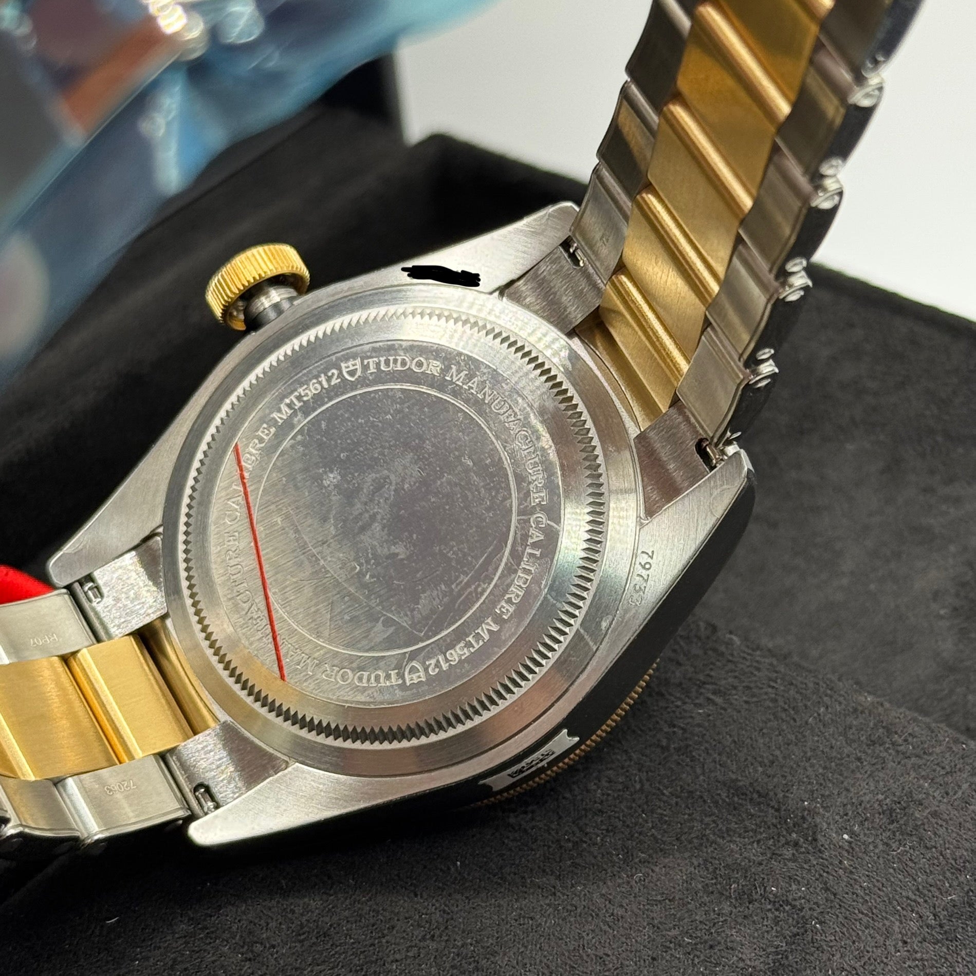 Tudor Black Bay S&G (M79733N-0008)
