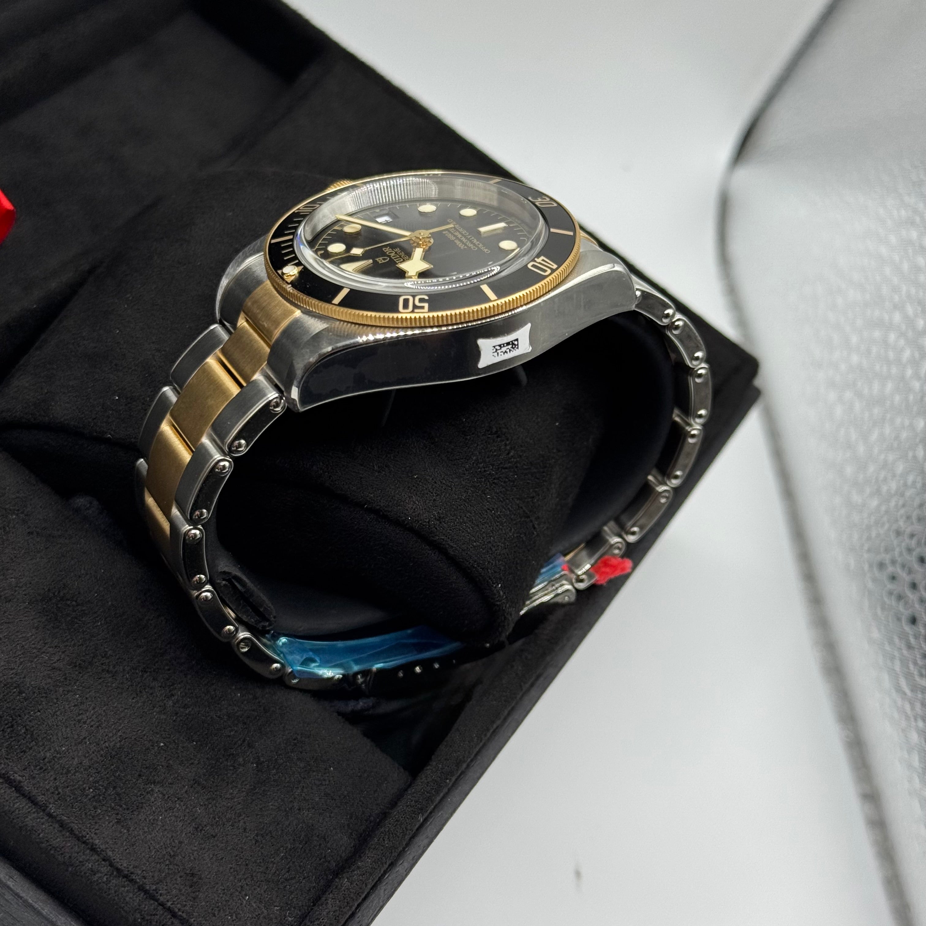Tudor Black Bay S&G (M79733N-0008)