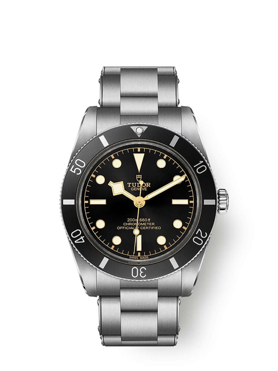 Tudor Black Bay 54 (M79000N-0001)