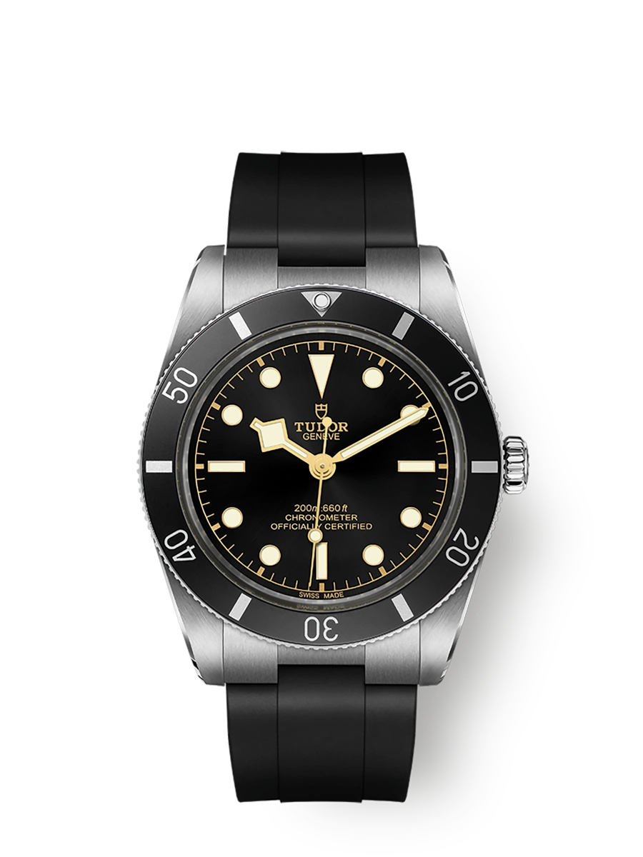 Tudor Black Bay 54 (M79000N-0002)