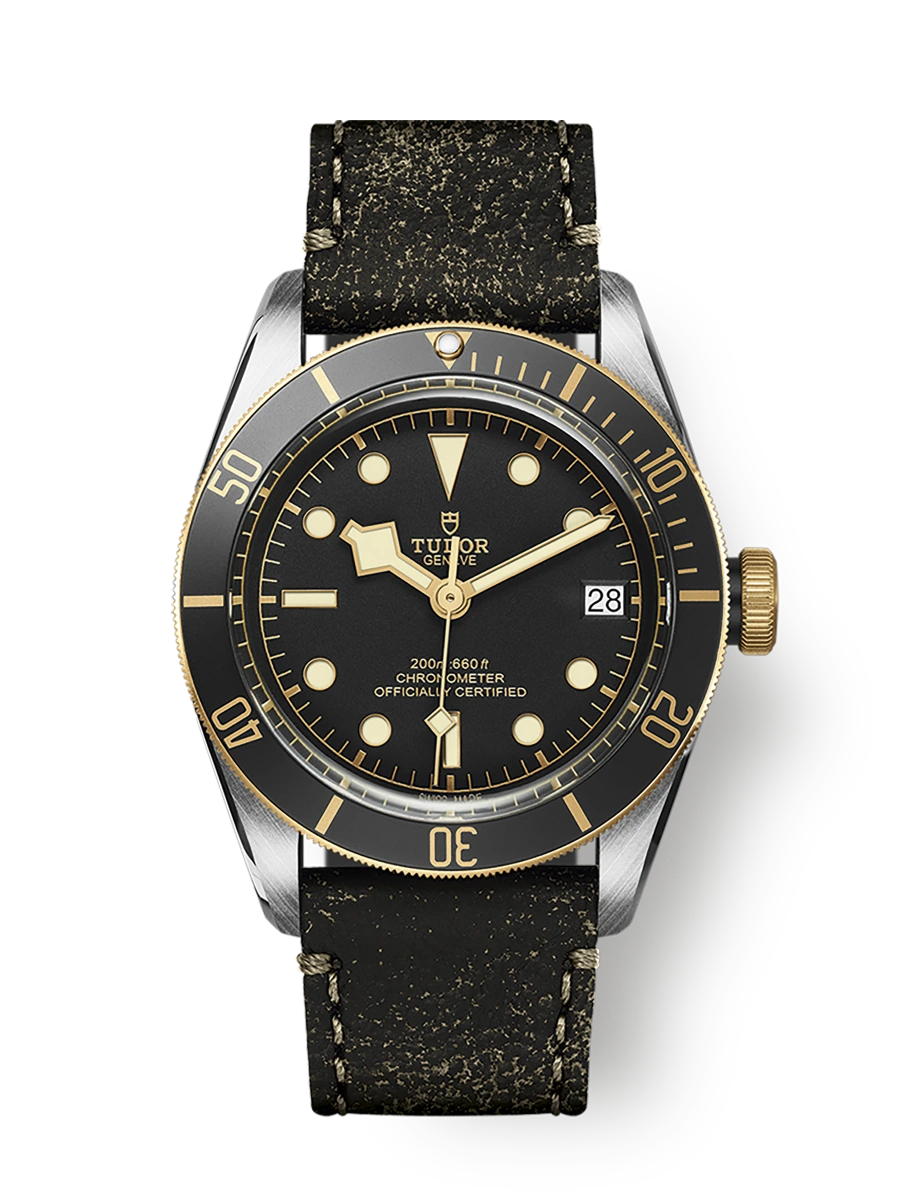Tudor Black Bay S&G (M79733N-0007)