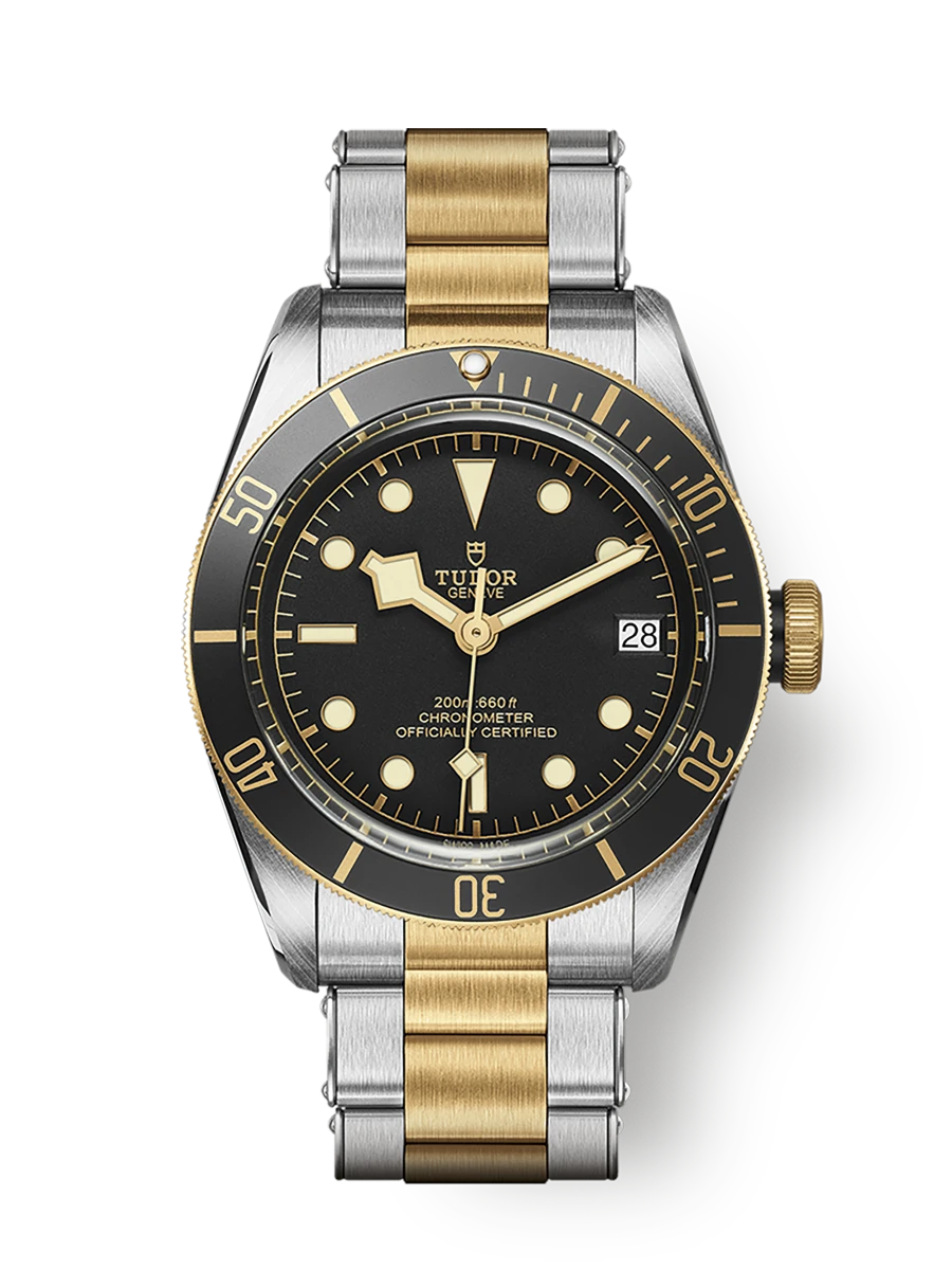 Tudor Black Bay S&G (M79733N-0008)
