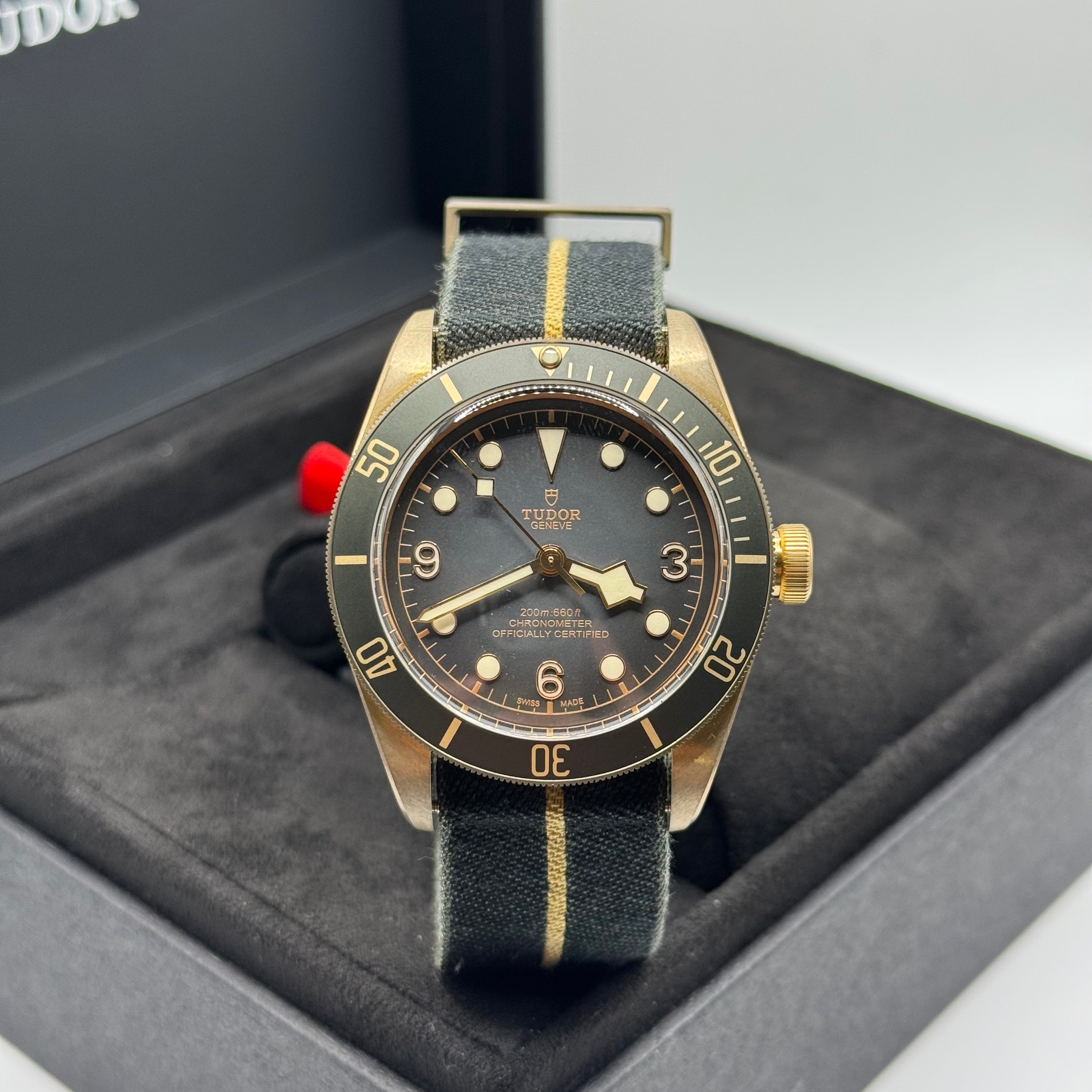 Black Bay Bronze