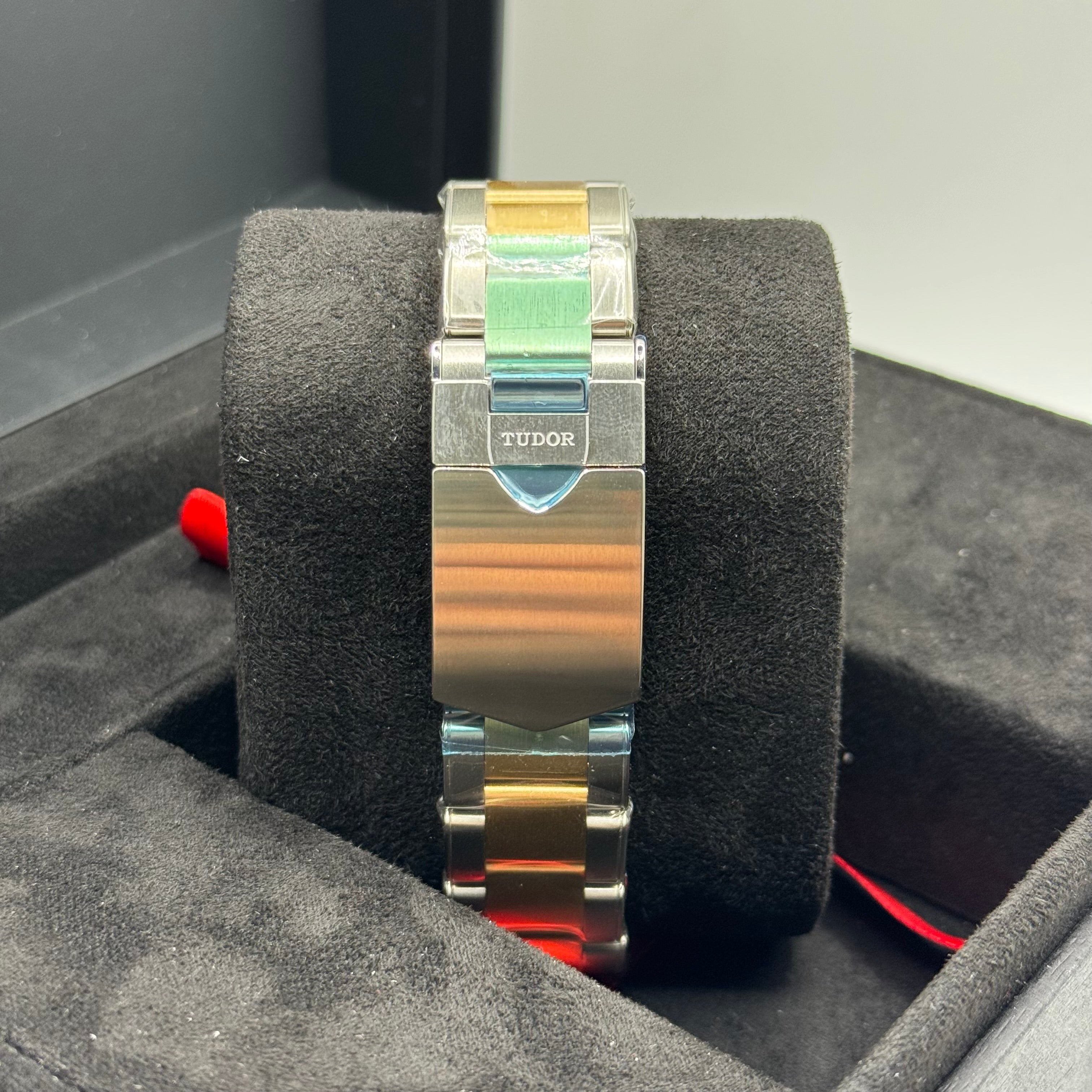 Tudor Black Bay S&G (M79733N-0004)