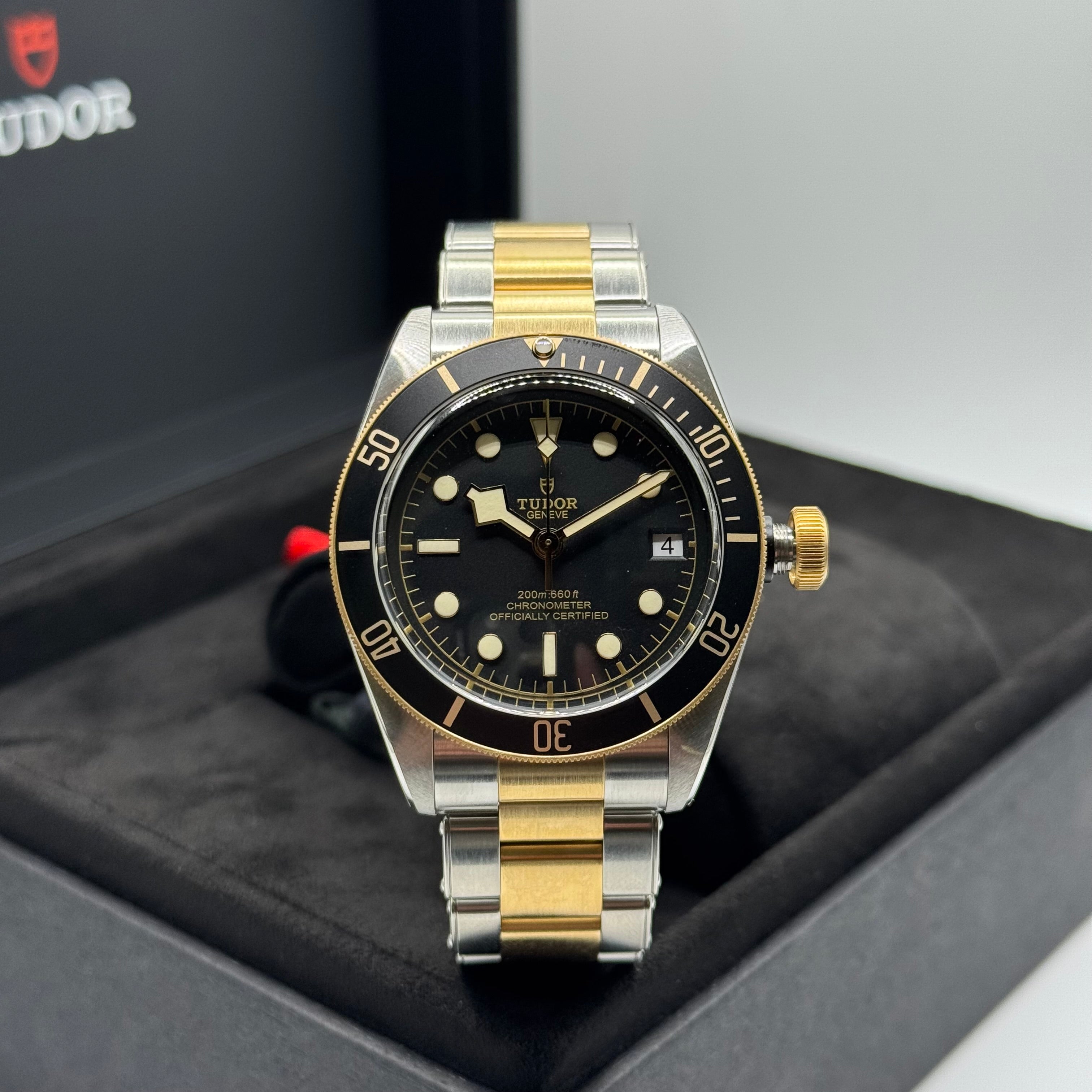 Tudor Black Bay S&G (M79733N-0008)