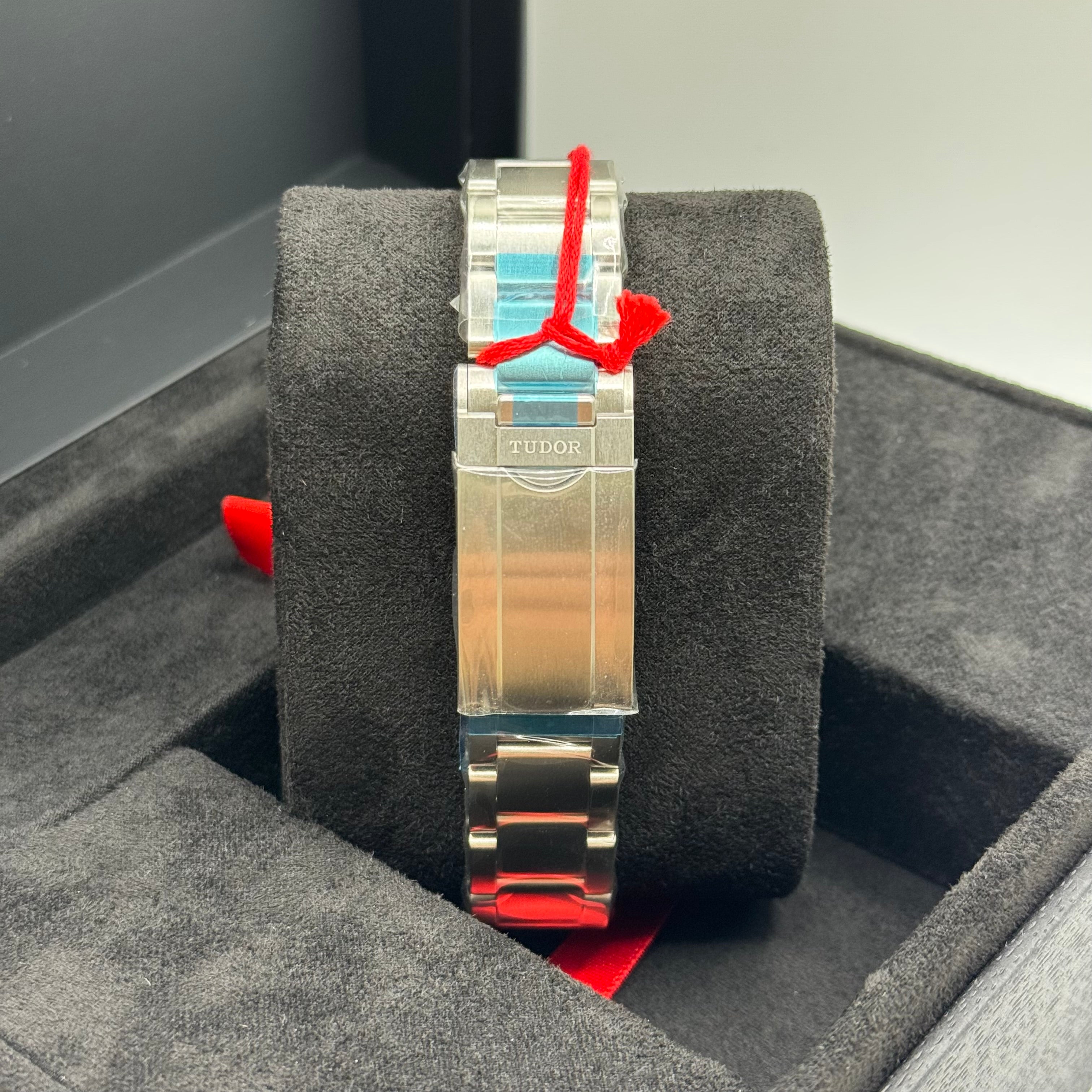 Tudor Ranger (M79950-0001)