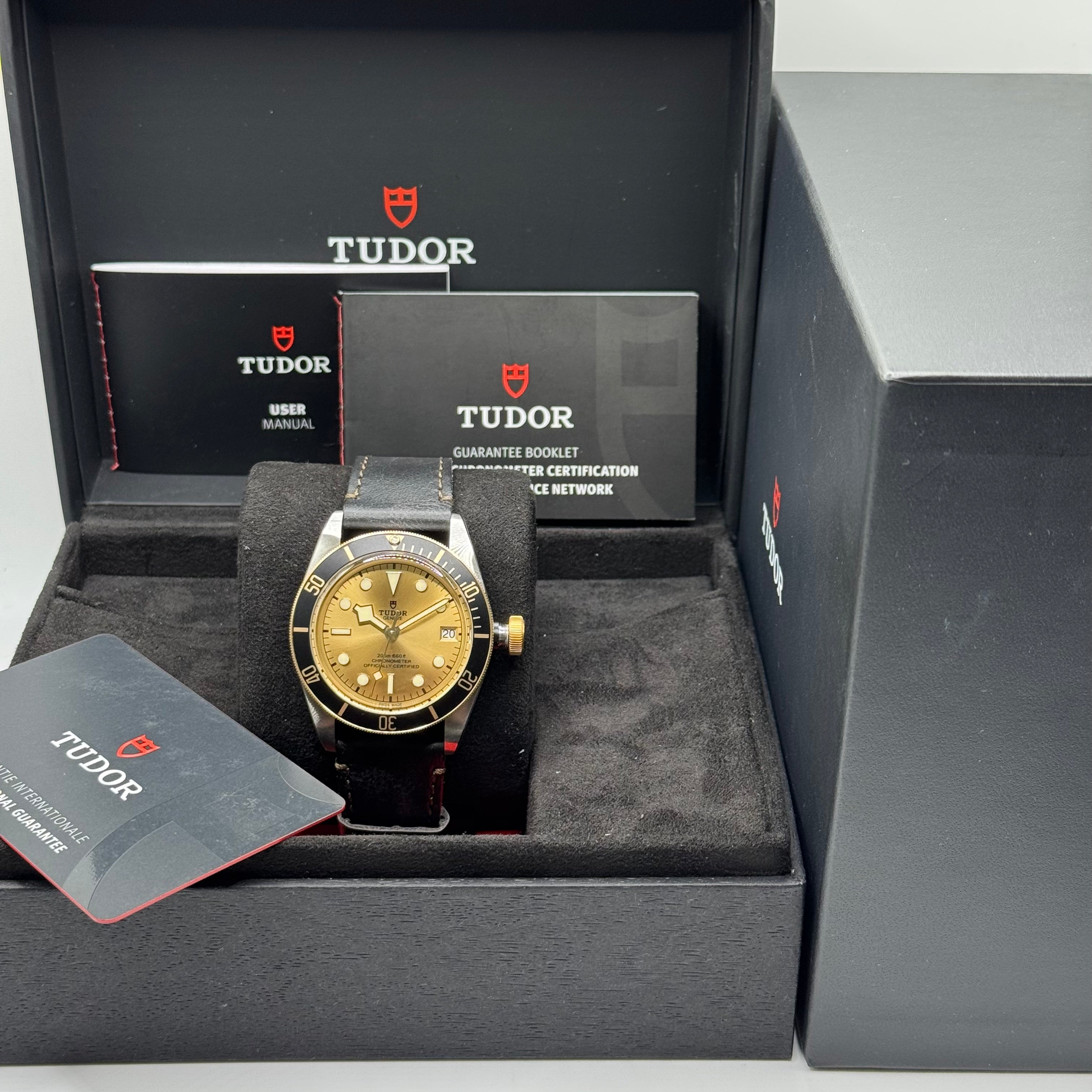 Tudor Black Bay S&G (M79733N-0003)