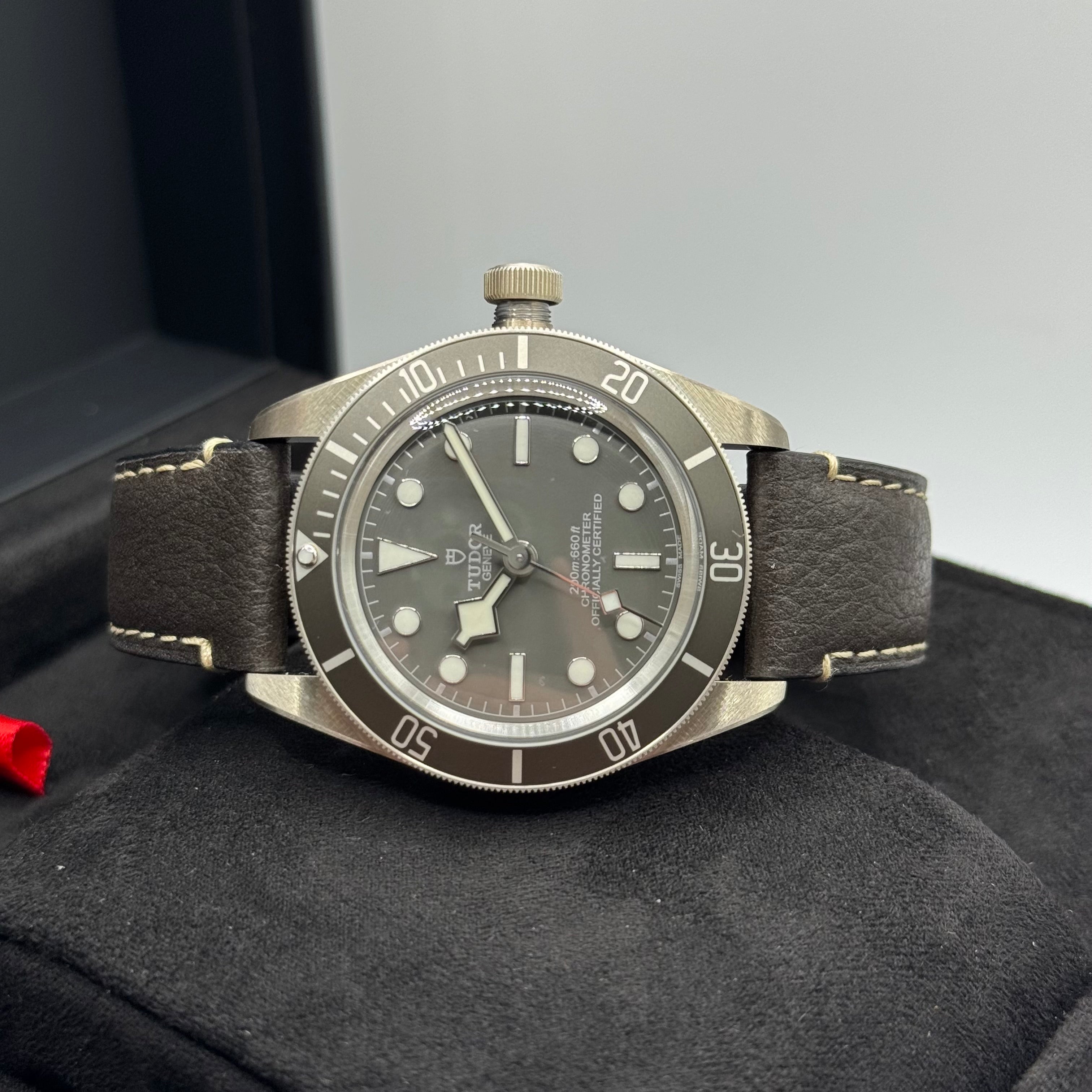 Tudor Black Bay 58 925 Silver (M79010SG-0001)