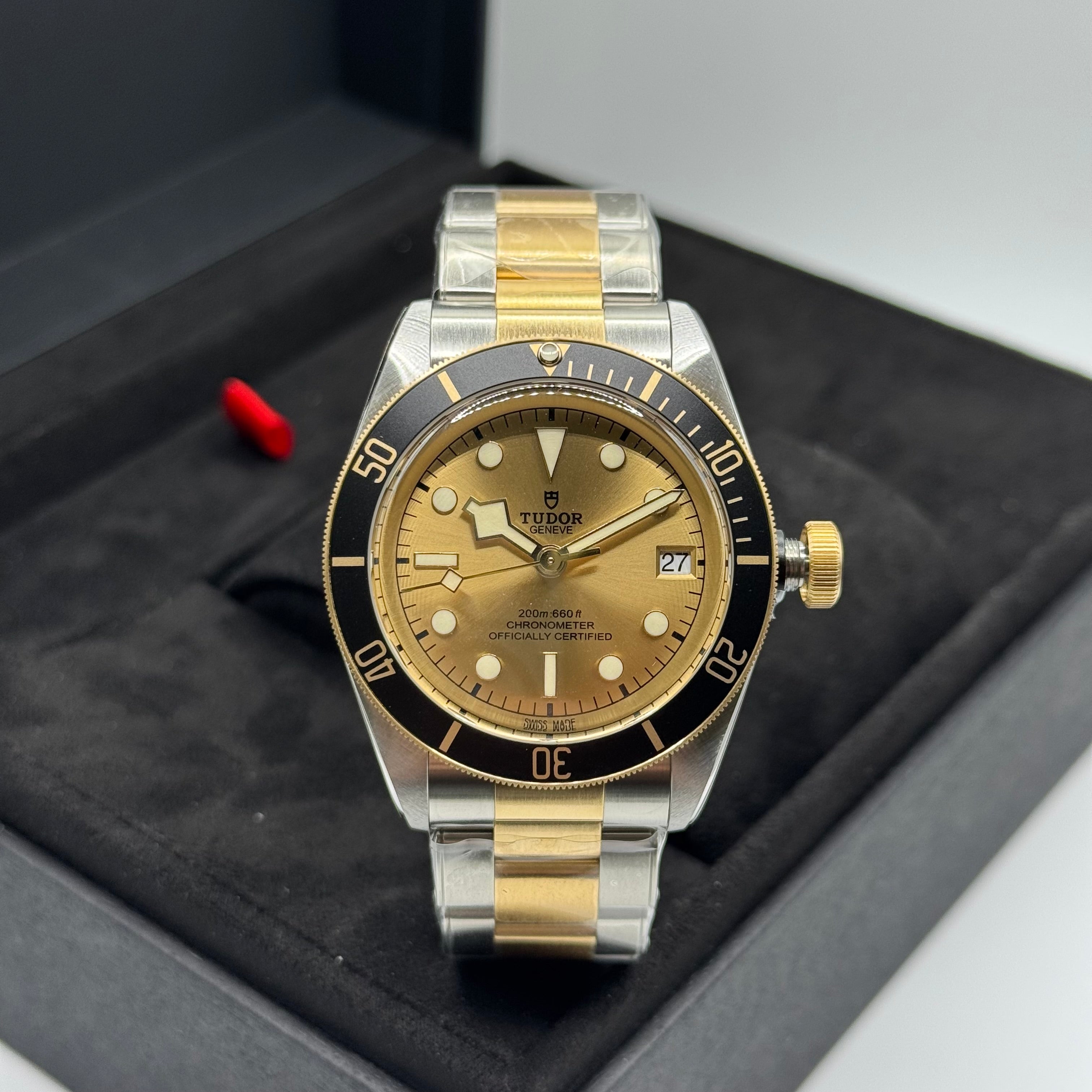 Tudor Black Bay S&G (M79733N-0004)