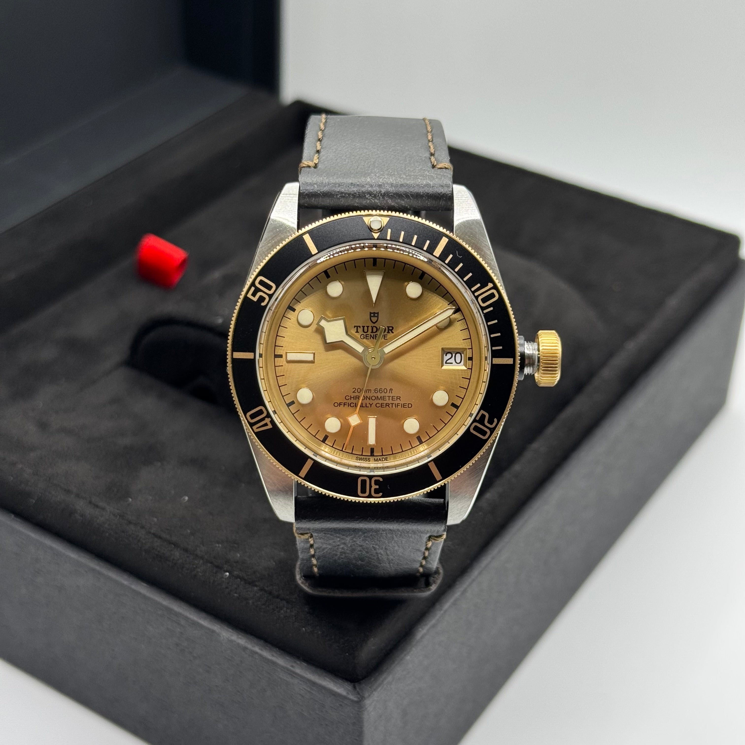 Tudor Black Bay S&G (M79733N-0003)