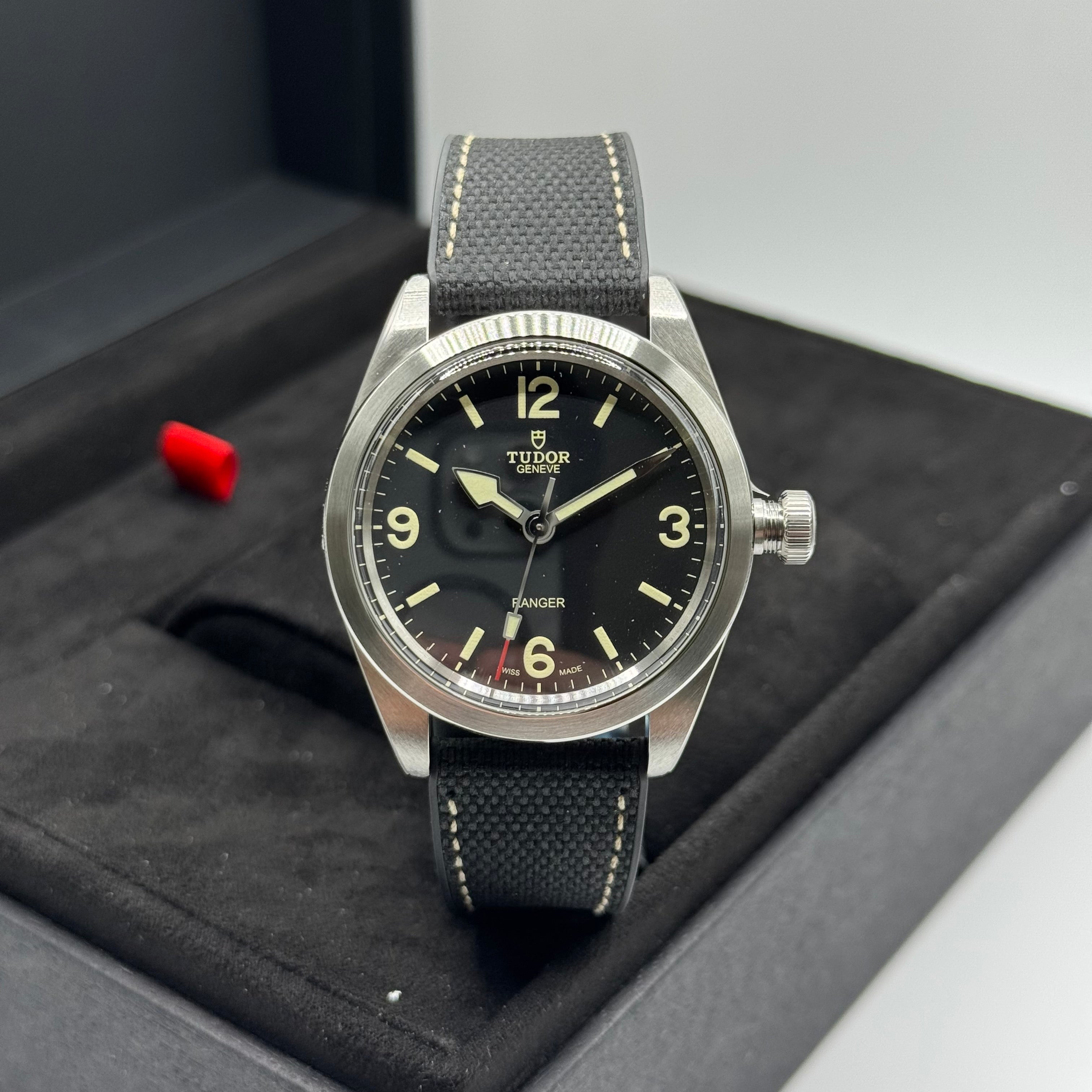 Tudor Ranger (M79950-0002)