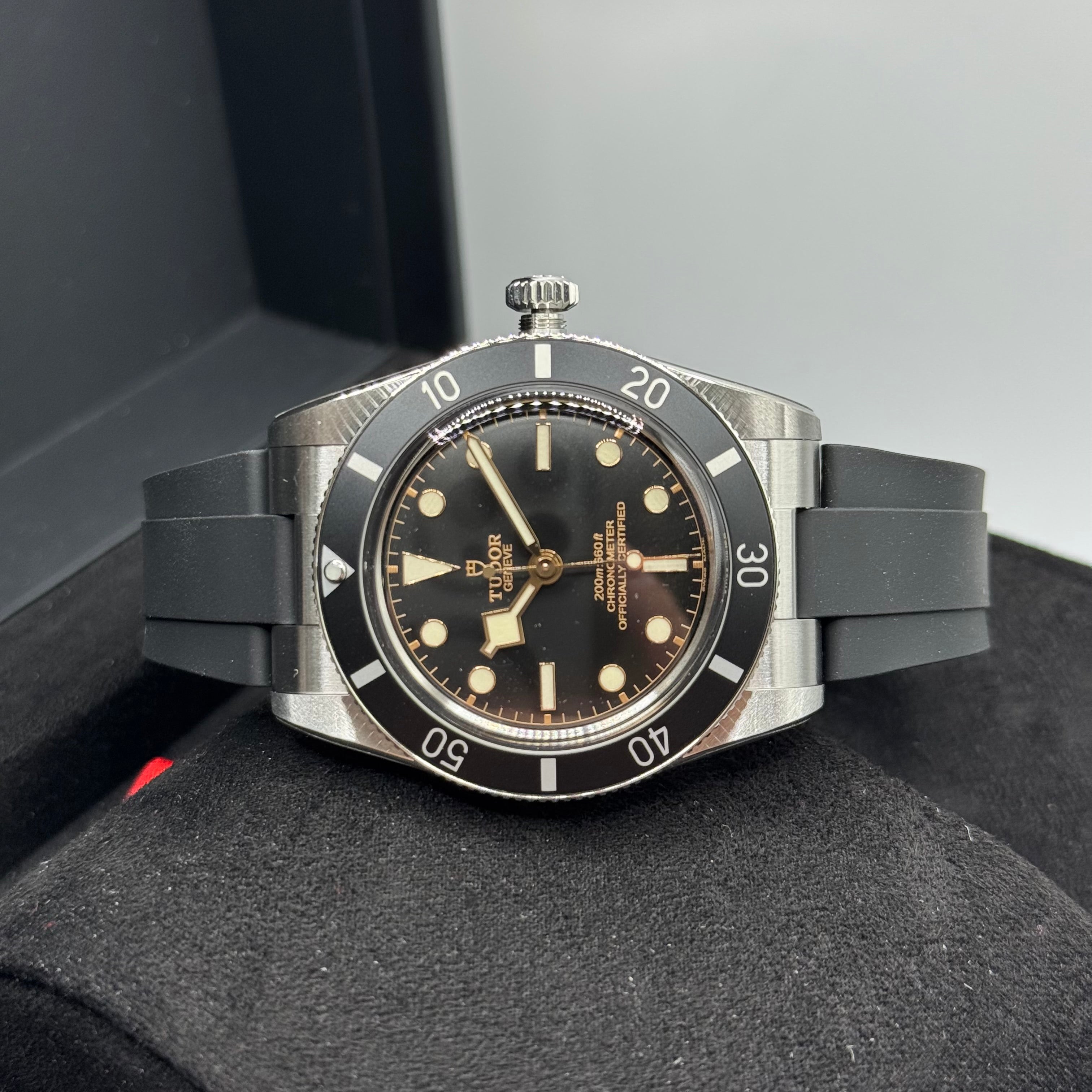 Tudor Black Bay 54 (M79000N-0002)