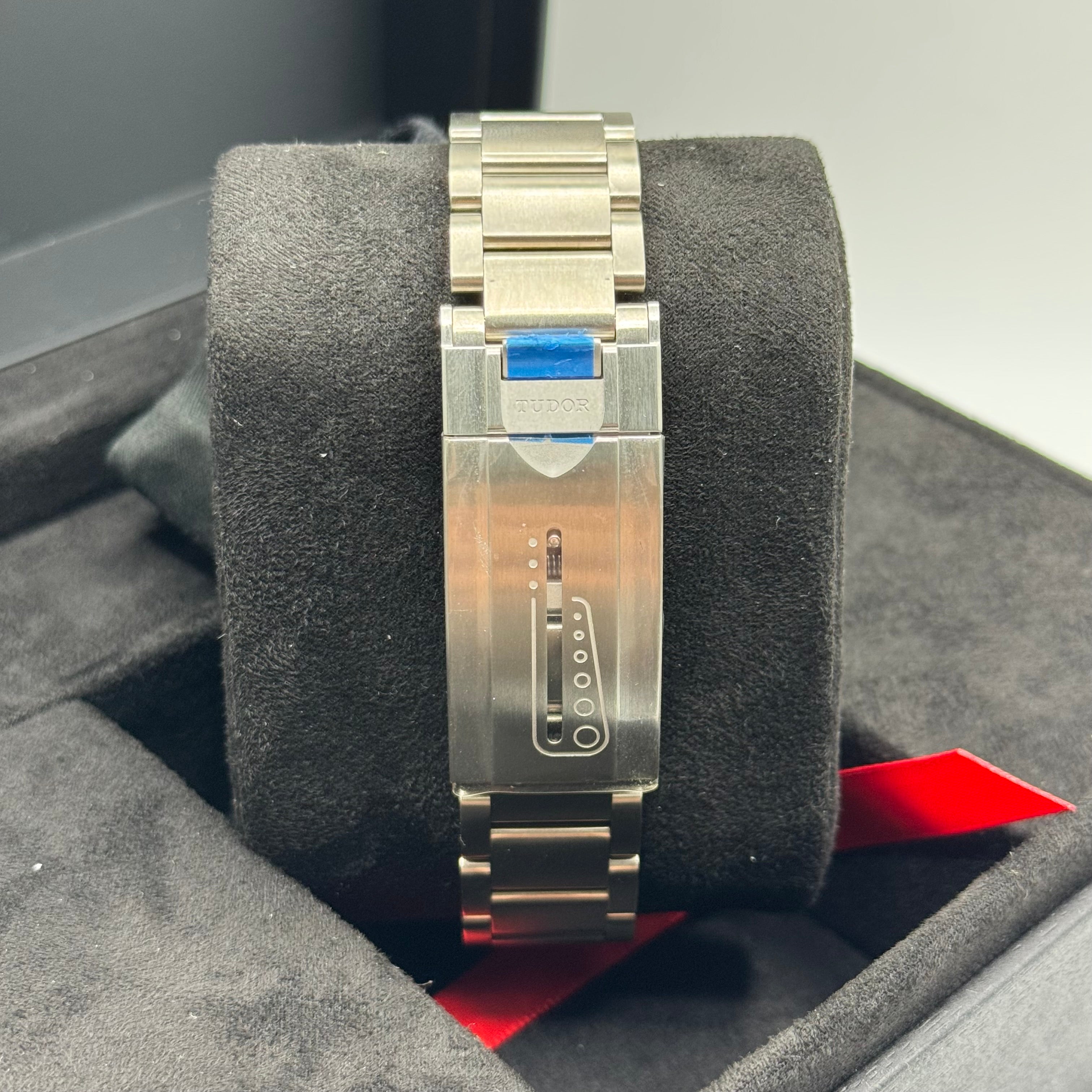 Tudor Pelagos (M25600TB-0001)