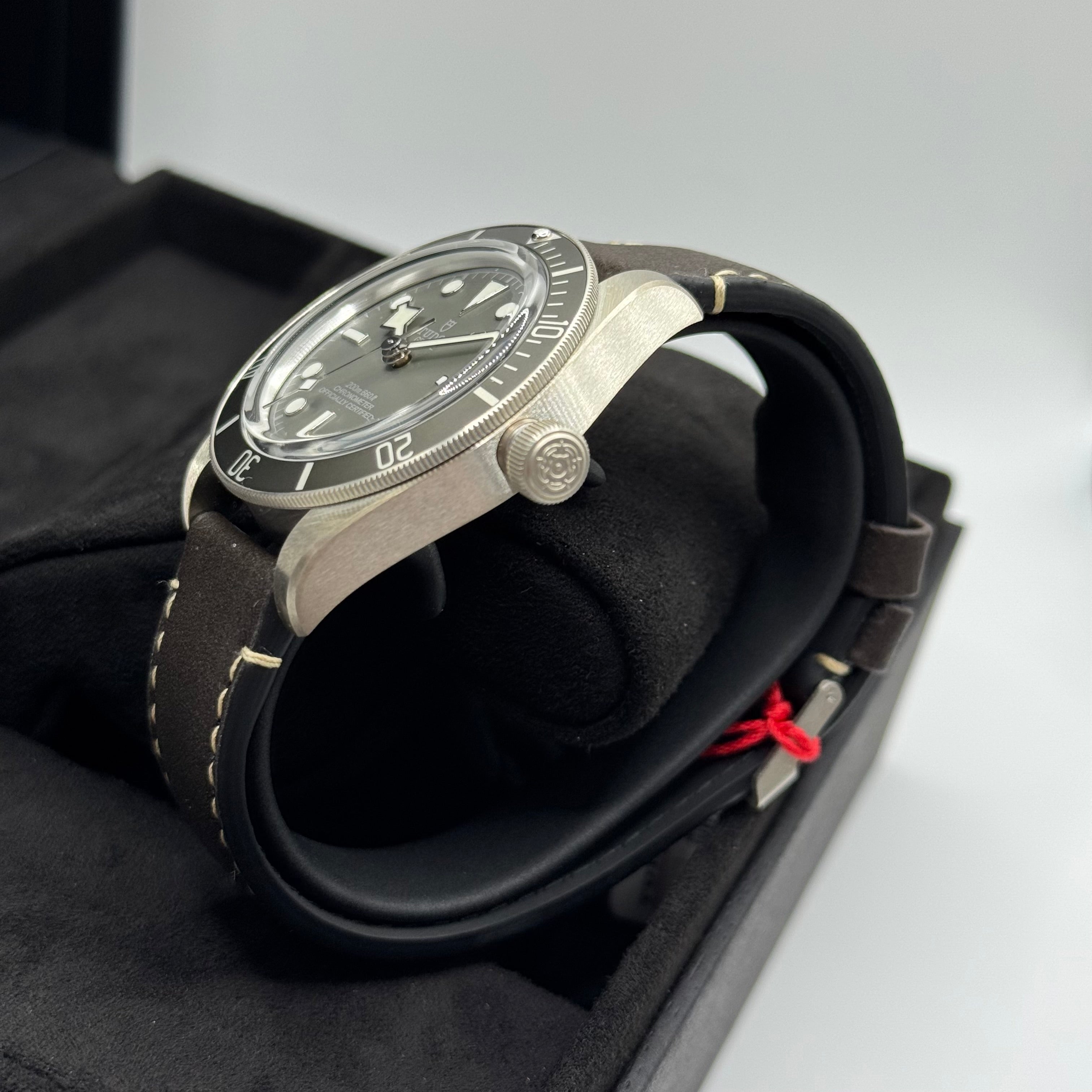 Tudor Black Bay 58 925 Silver (M79010SG-0001)
