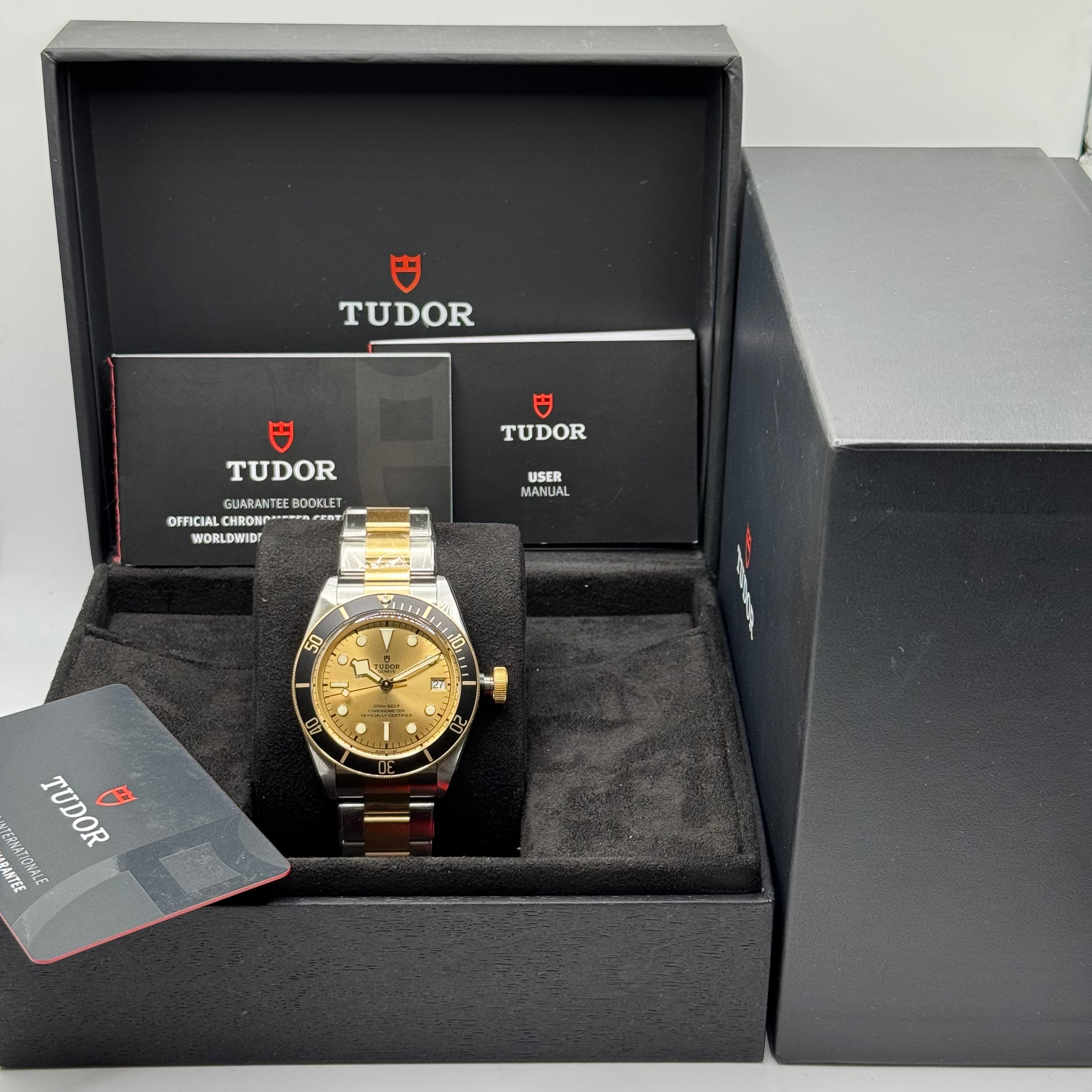 Tudor Black Bay S&G (M79733N-0004)