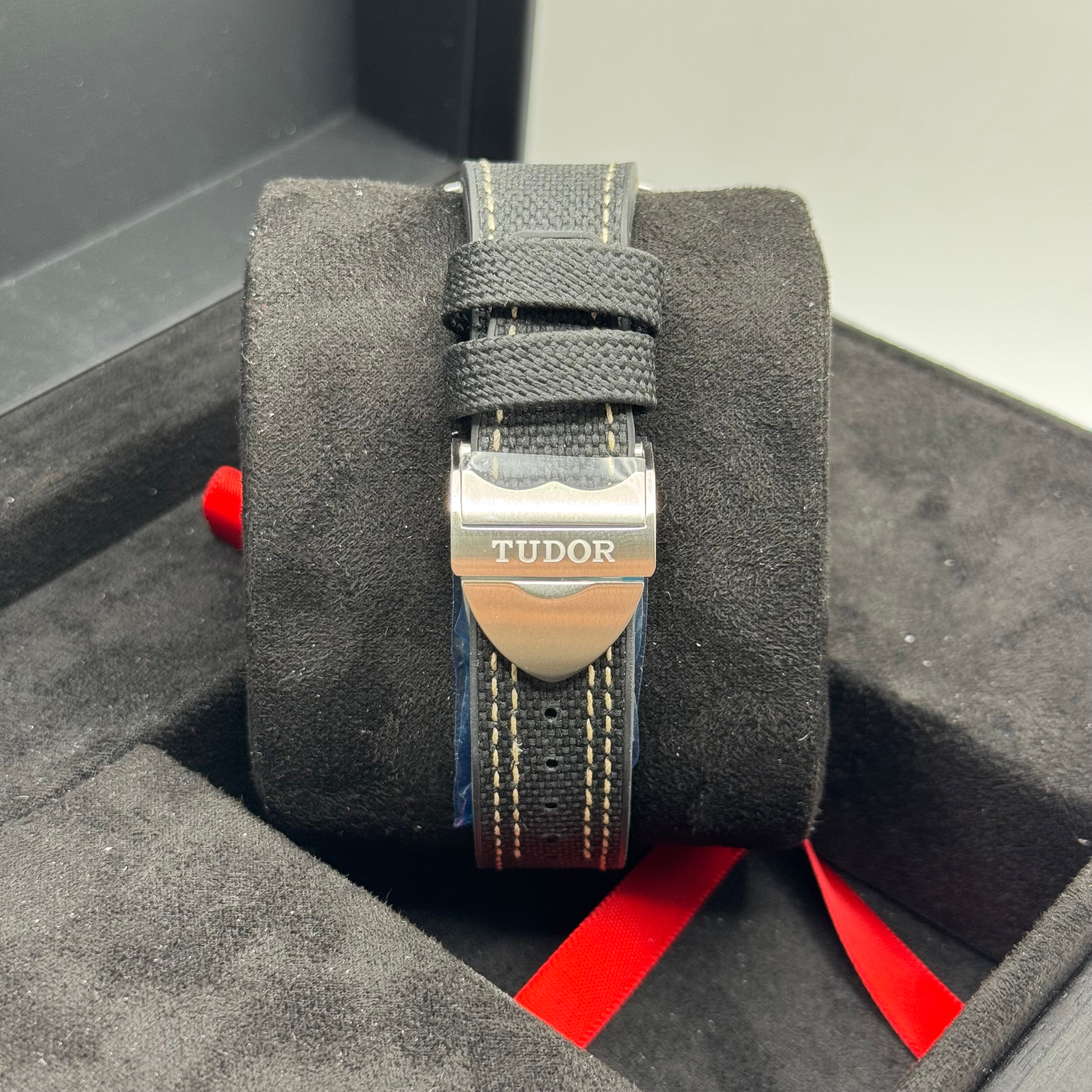 Tudor Ranger (M79950-0002)
