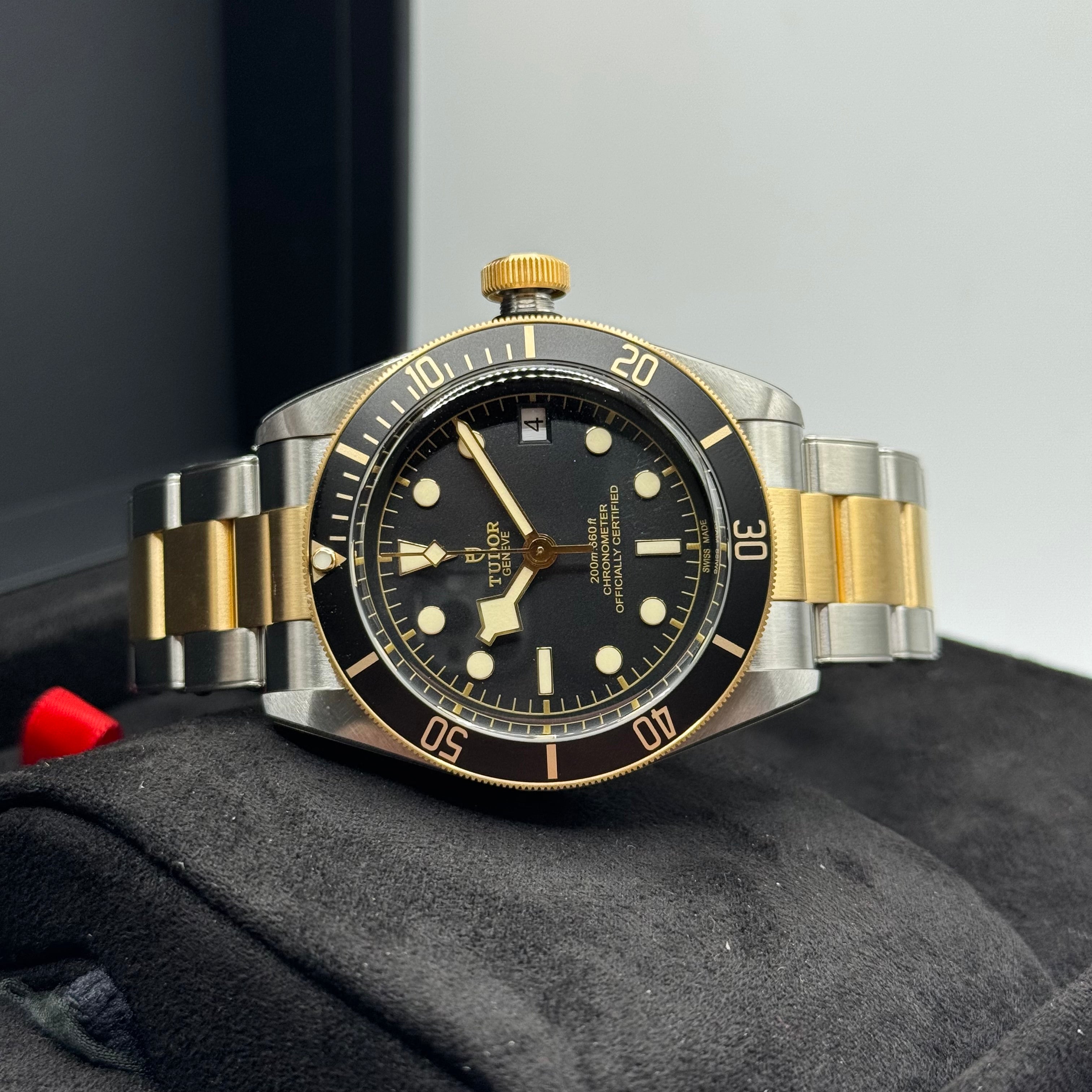 Tudor Black Bay S&G (M79733N-0008)