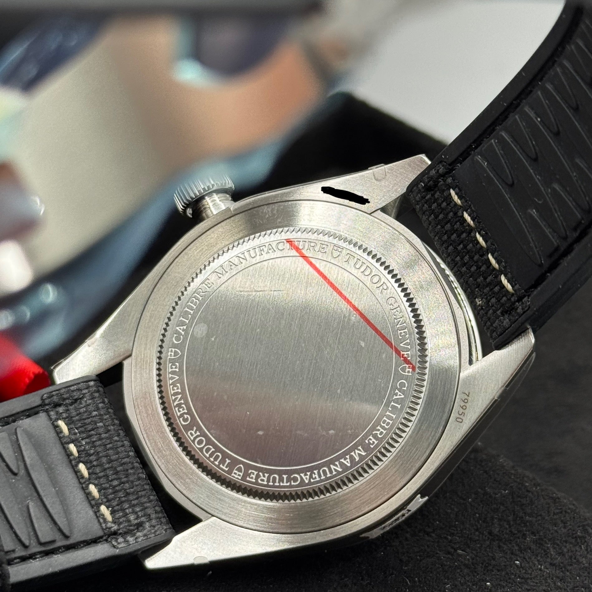 Tudor Ranger (M79950-0002)