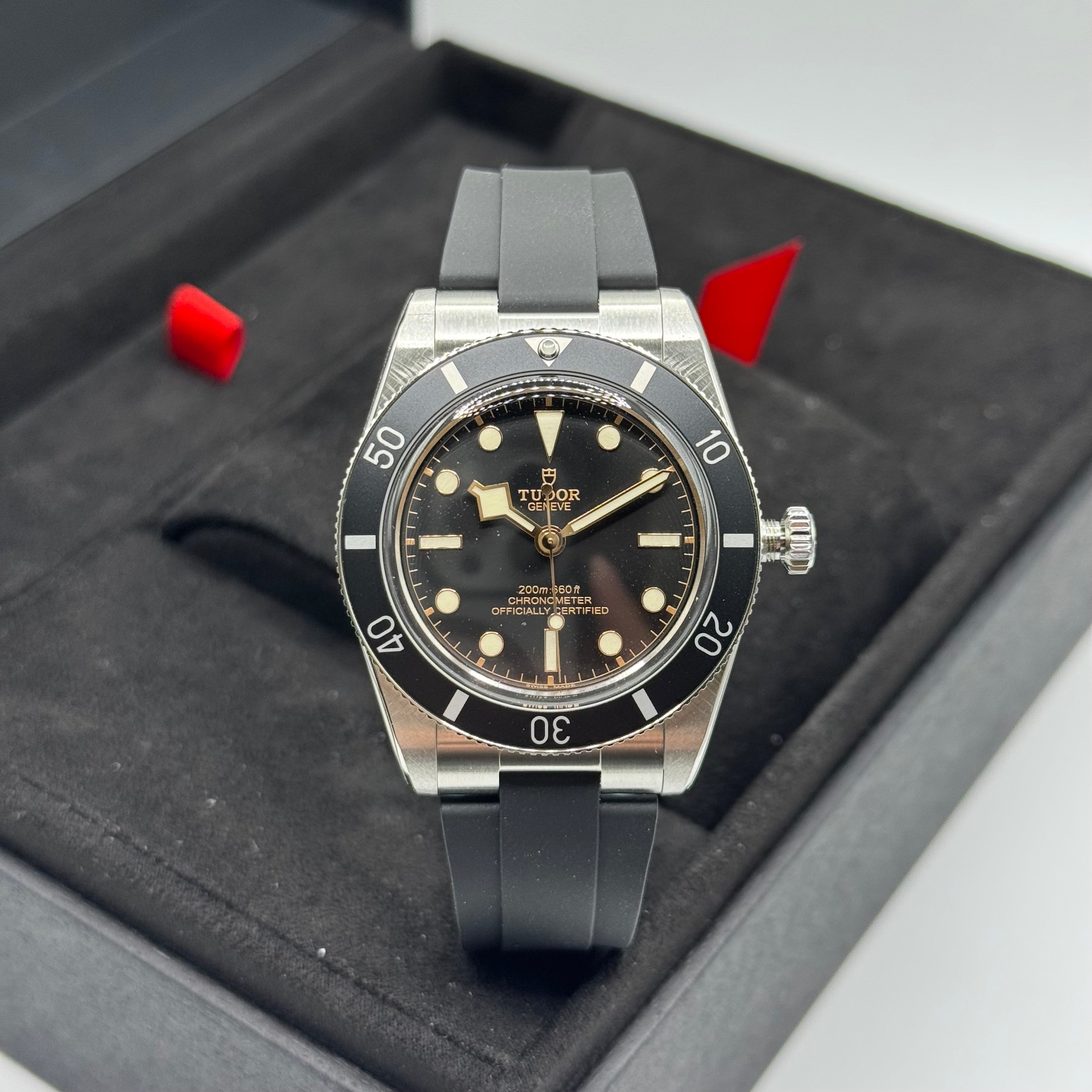 Tudor Black Bay 54 (M79000N-0002)