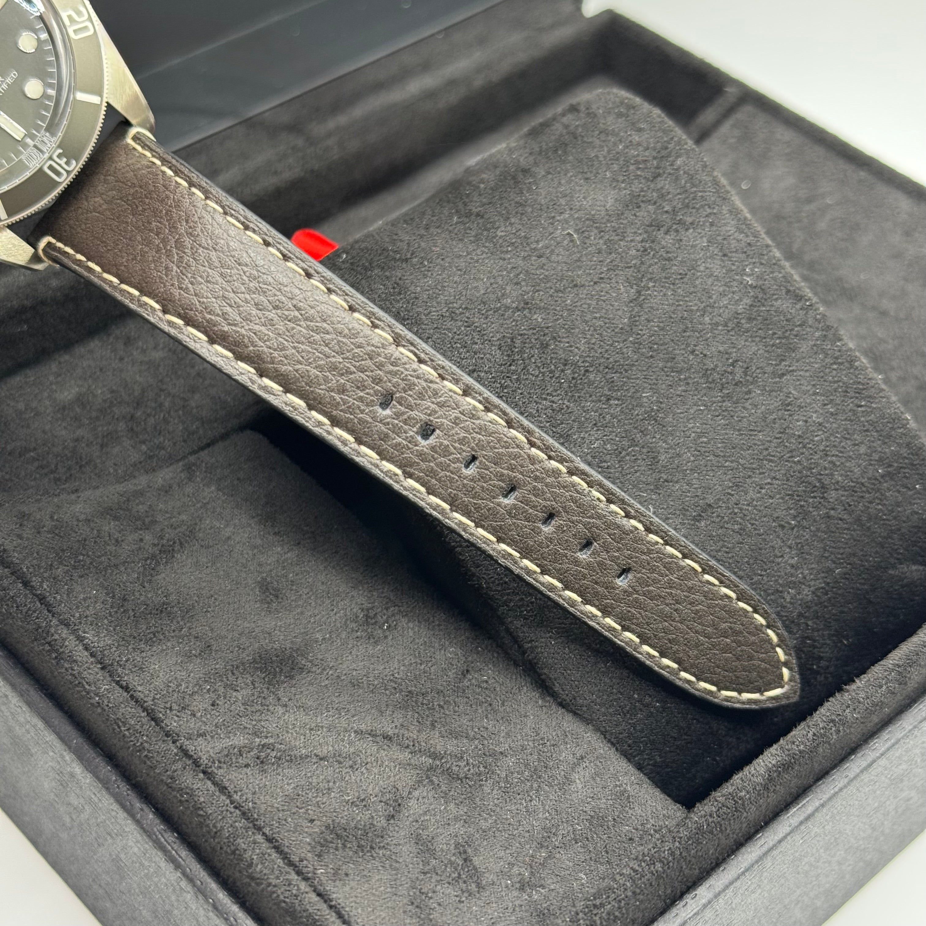 Tudor Black Bay 58 925 Silver (M79010SG-0001)