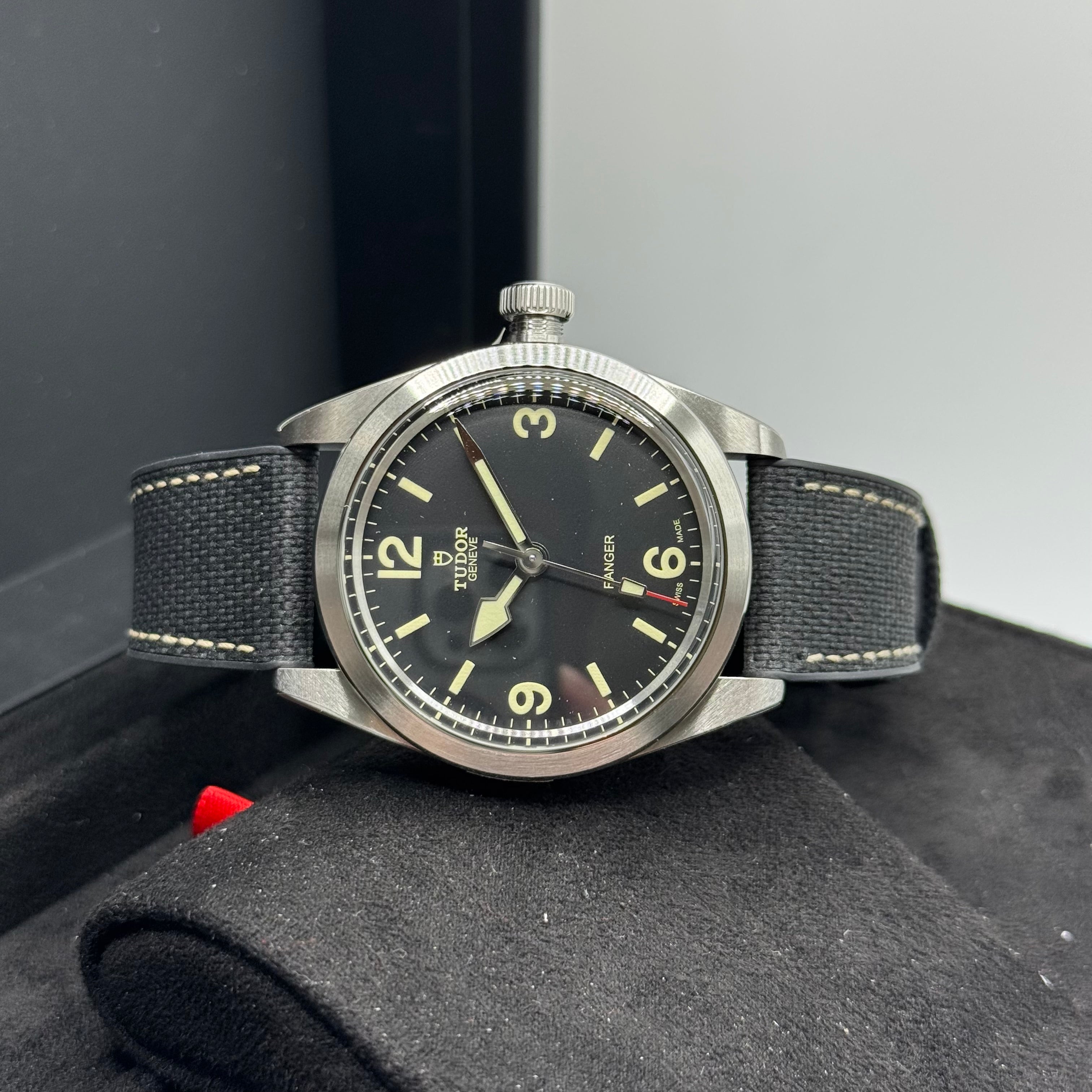 Tudor Ranger (M79950-0002)