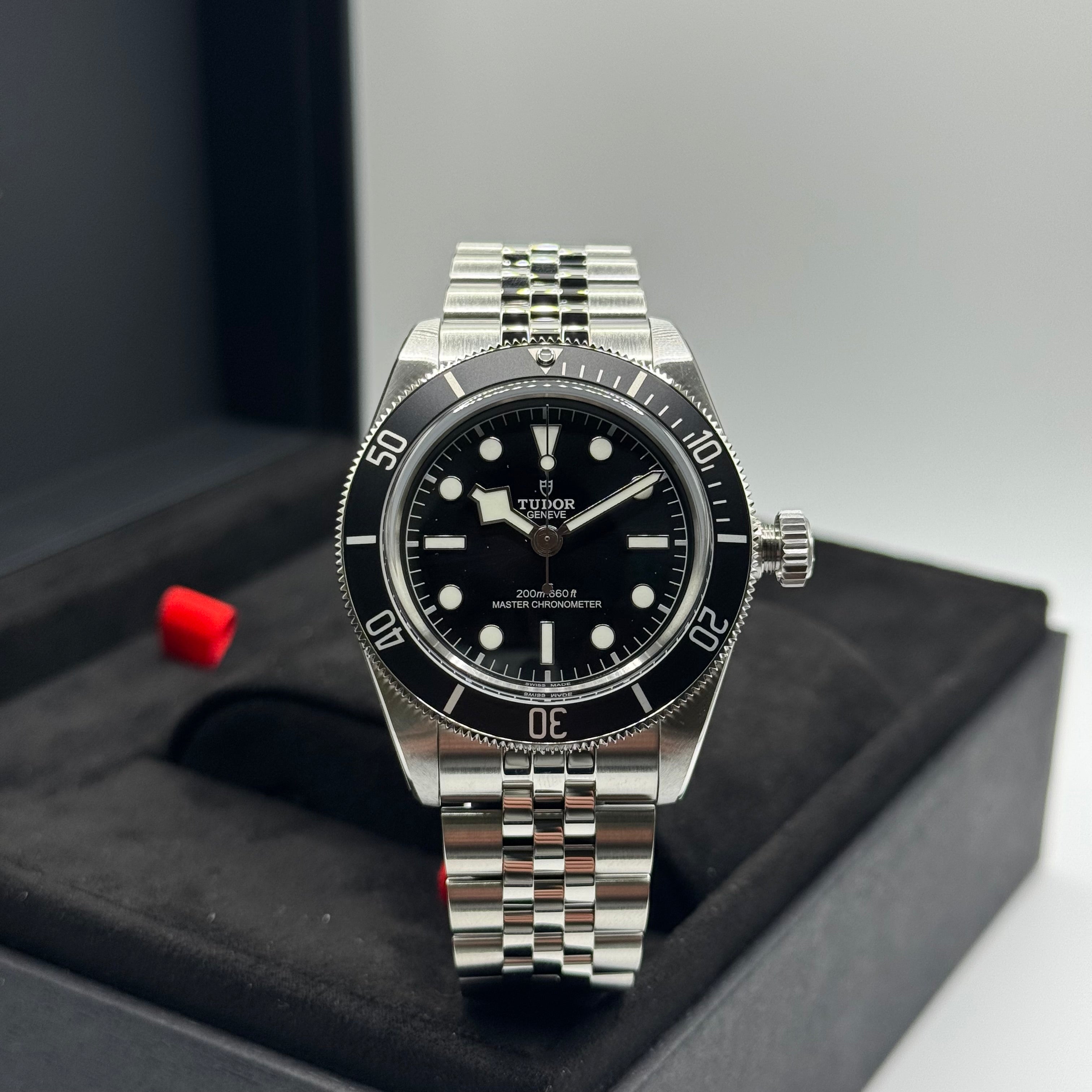 Tudor Black Bay Monochrome (M7941A1A0NU-0003)