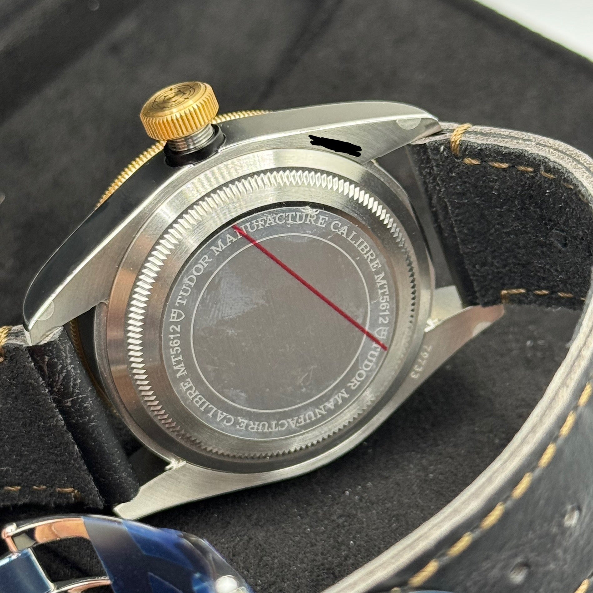 Tudor Black Bay S&G (M79733N-0003)