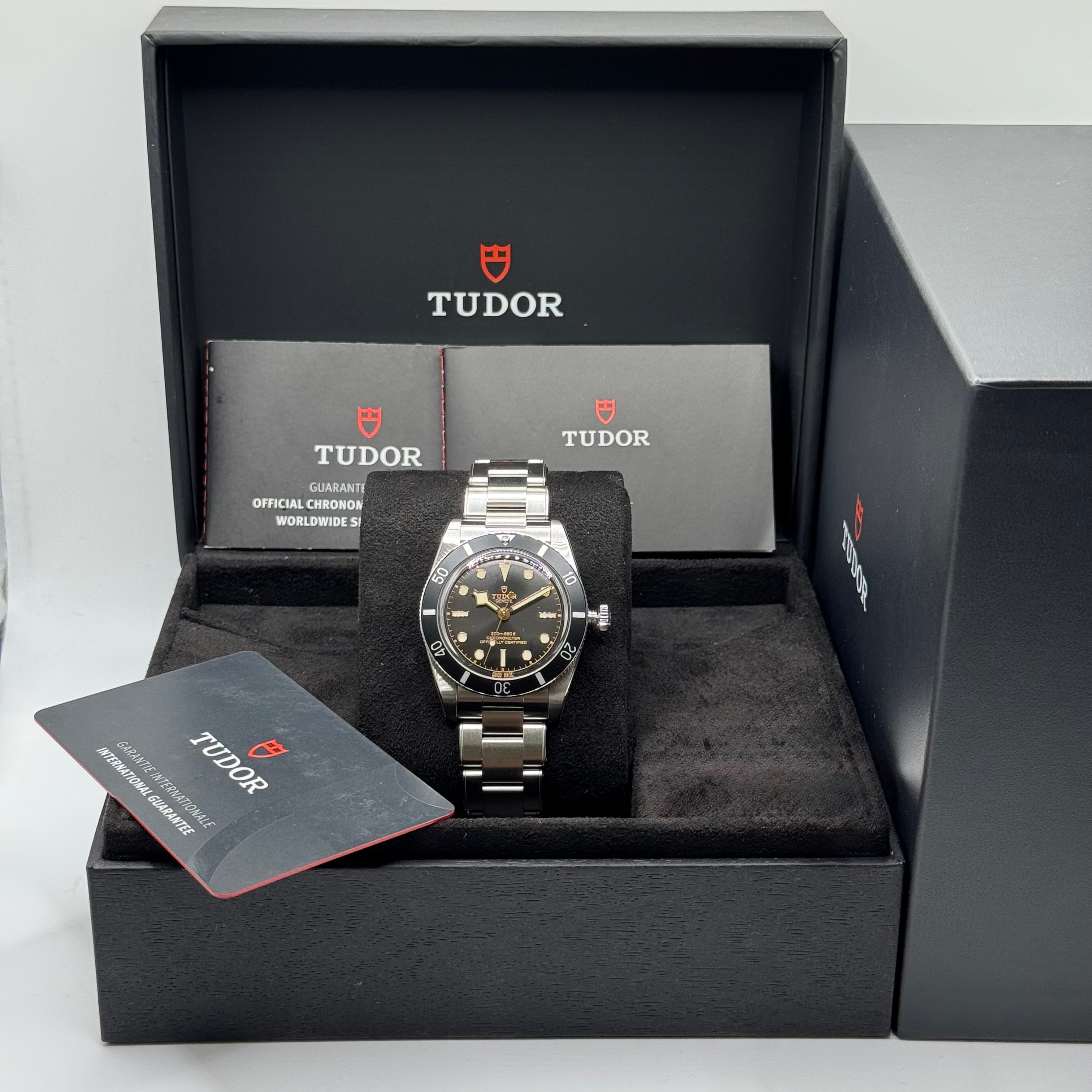Tudor Black Bay 54 (M79000N-0001)