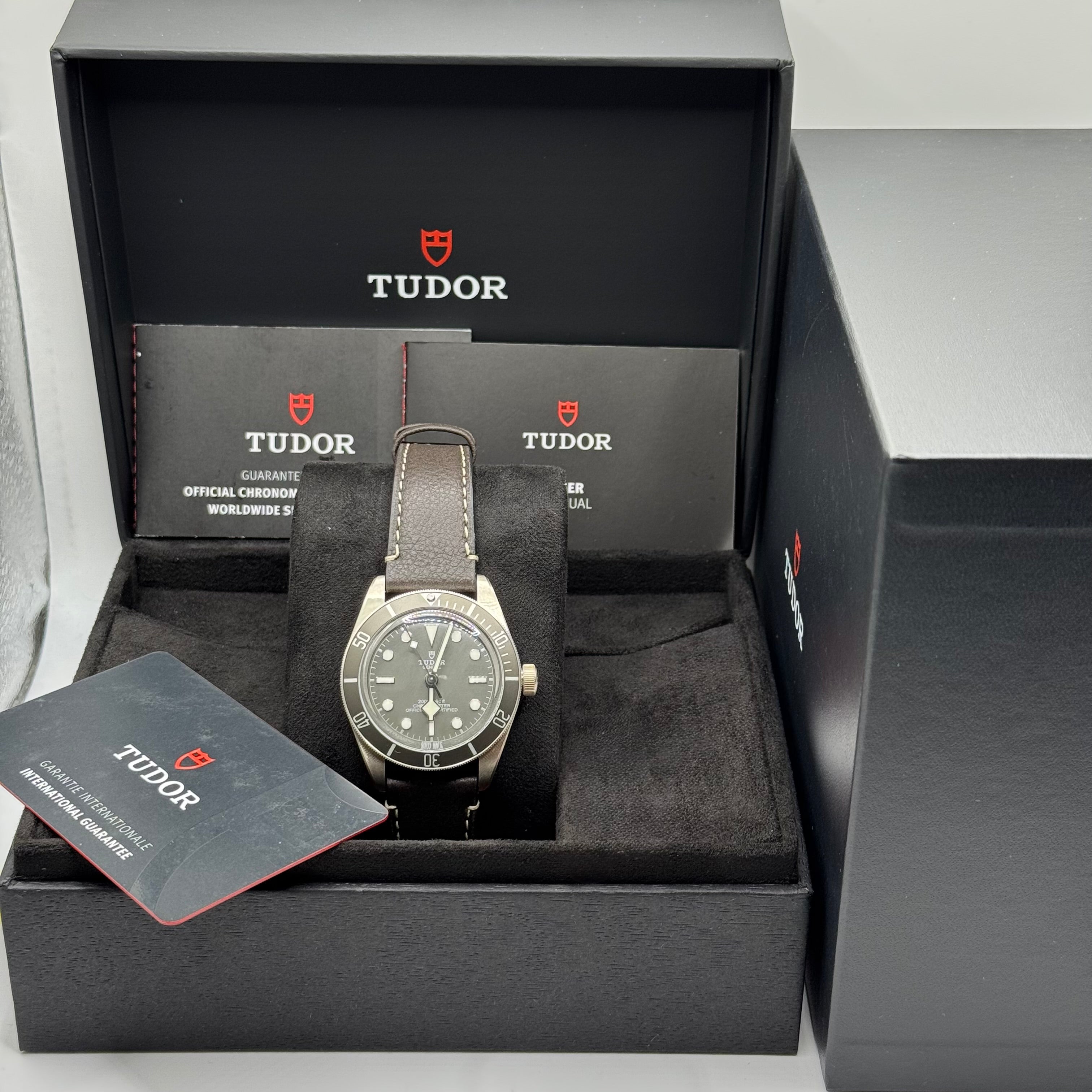 Tudor Black Bay 58 925 Silver (M79010SG-0001)