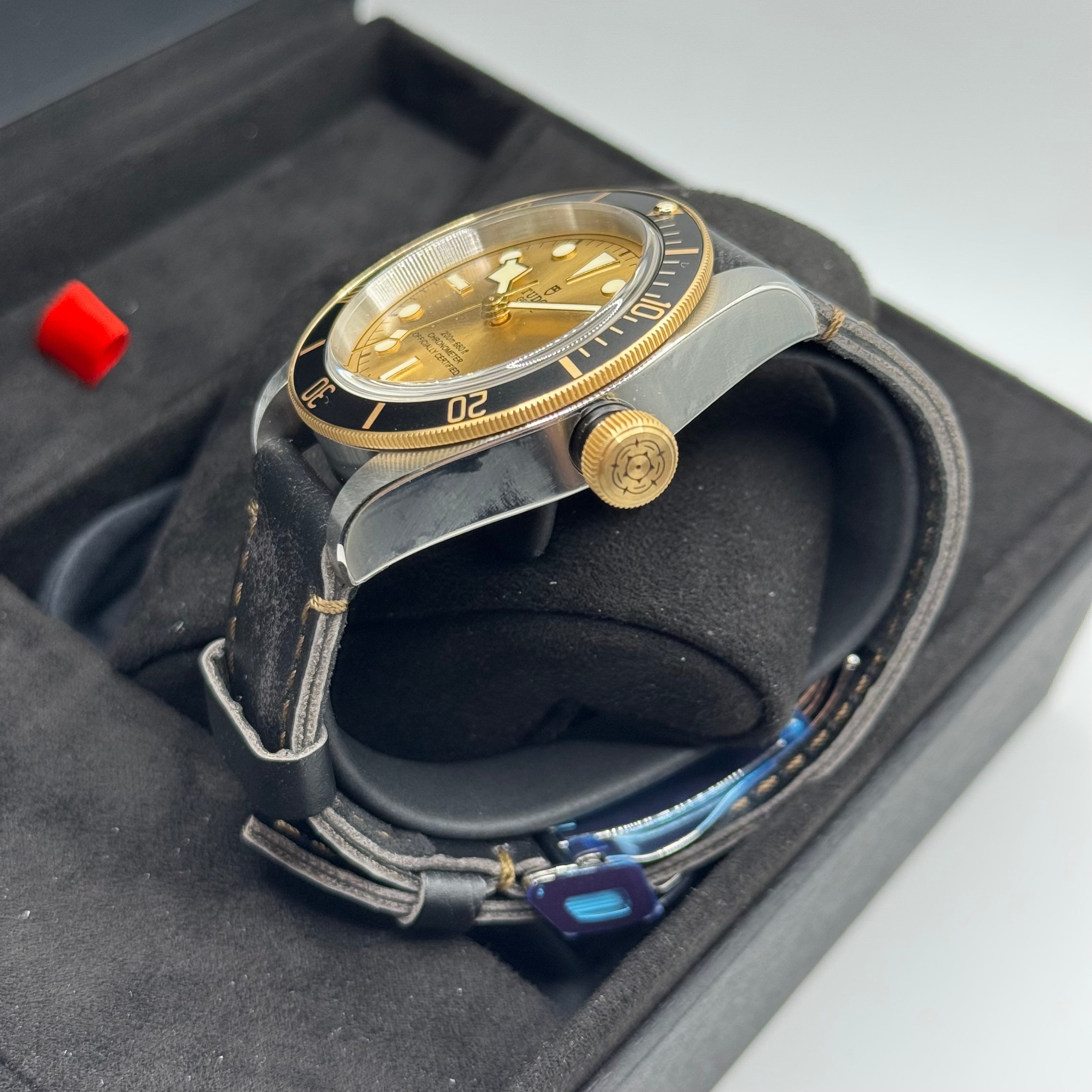 Tudor Black Bay S&G (M79733N-0003)