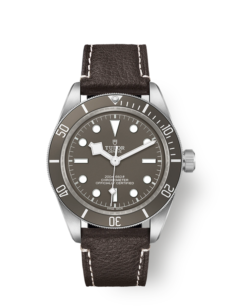Tudor Black Bay 58 925 Silver (M79010SG-0001)