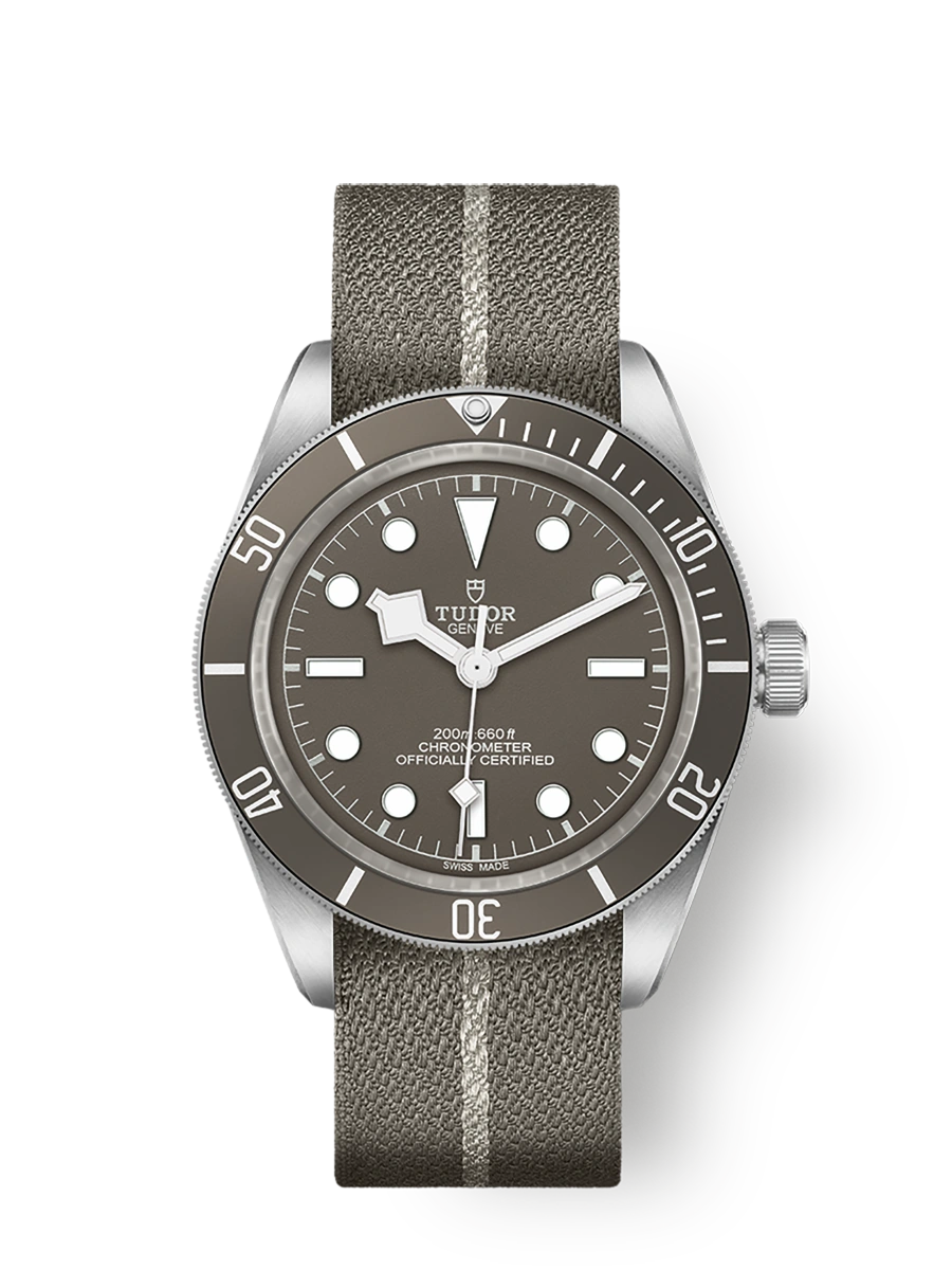 Tudor Black Bay 58 925 Silver (M79010SG-0002)