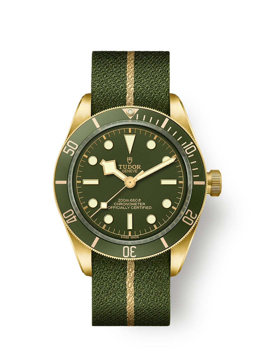 Tudor Black Bay 58 18K (M79018V-0001)