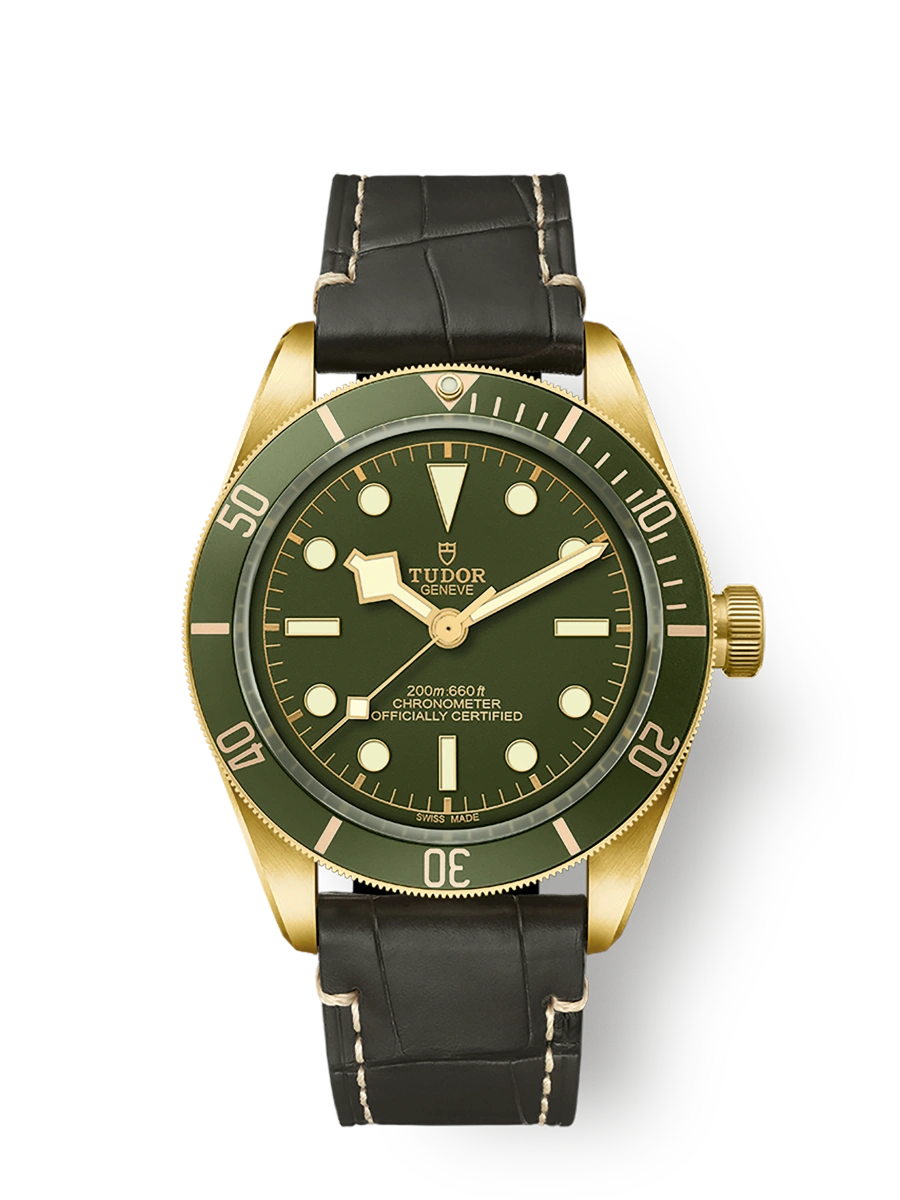 Tudor Black Bay 58 18K (M79018V-0001)