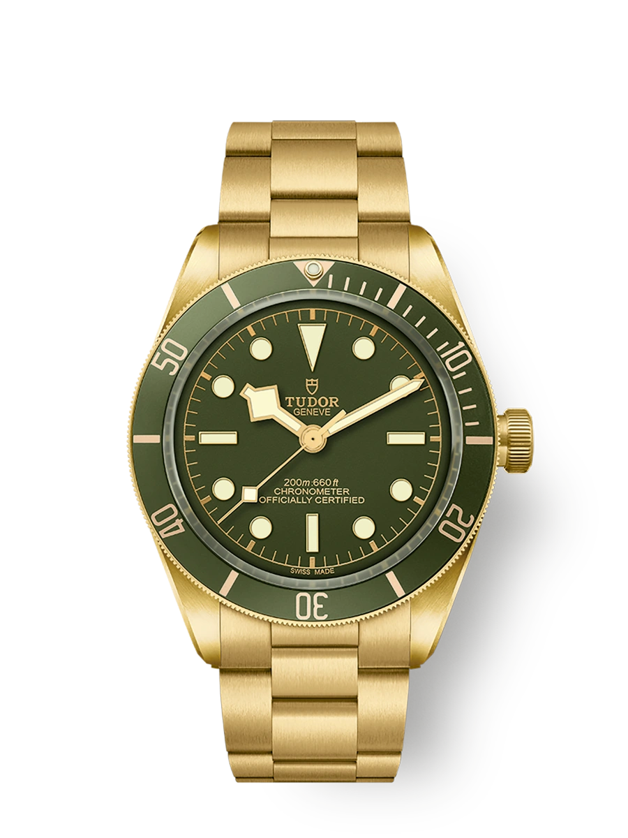 Tudor Black Bay 58 18K (M79018V-0006)