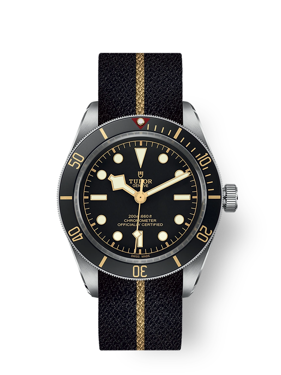 Tudor Black Bay 58 Black (M79030N-0003)