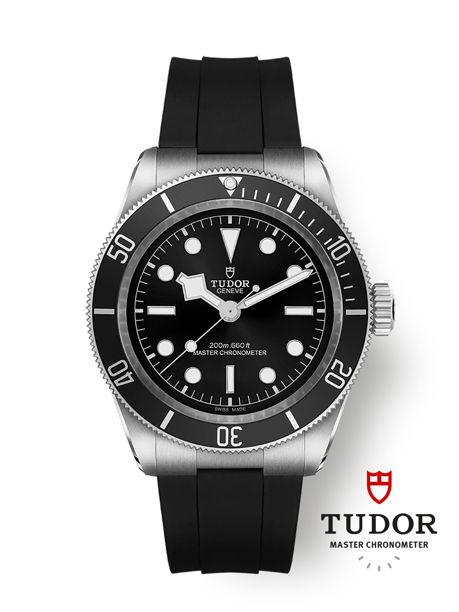 Tudor Black Bay Monochrome (M7941A1A0NU-0002)