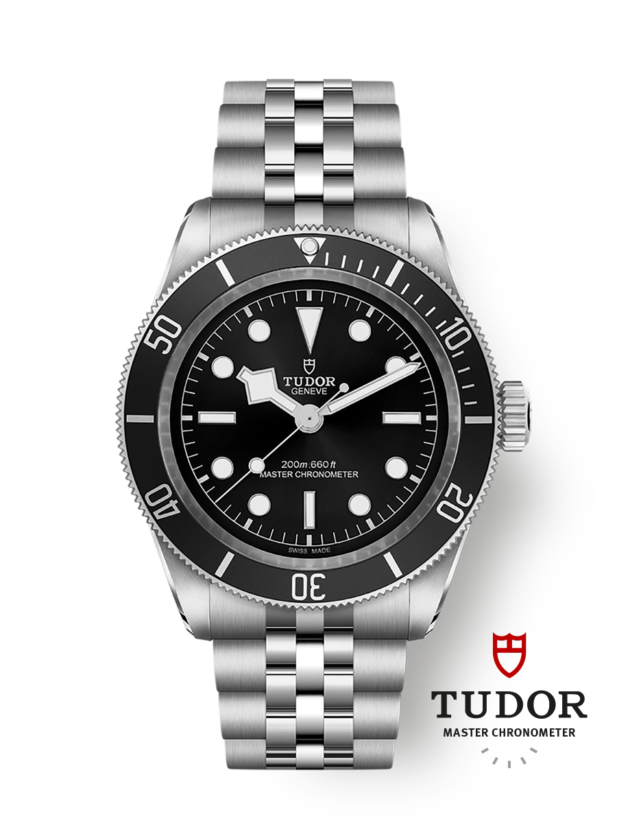 Tudor Black Bay Monochrome (M7941A1A0NU-0003)