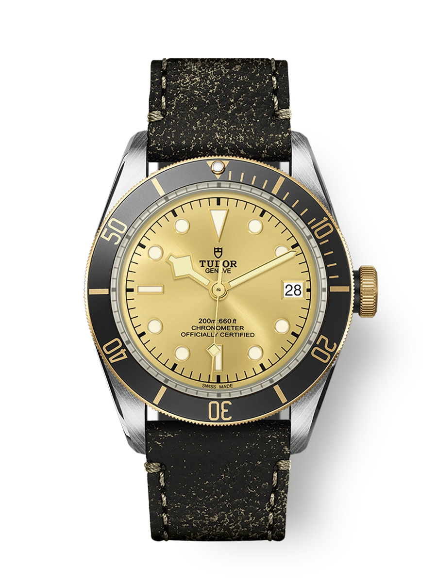 Tudor Black Bay S&G (M79733N-0003)