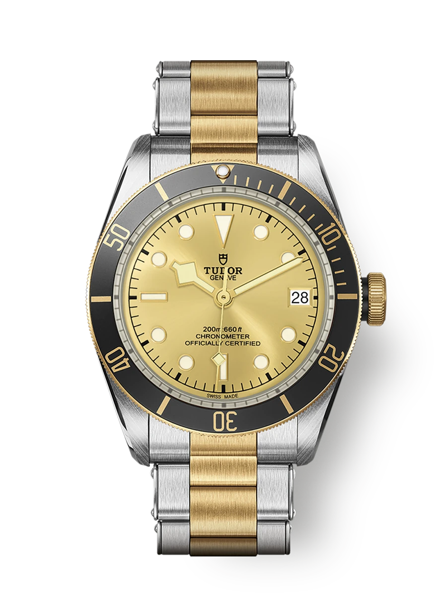 Tudor Black Bay S&G (M79733N-0004)